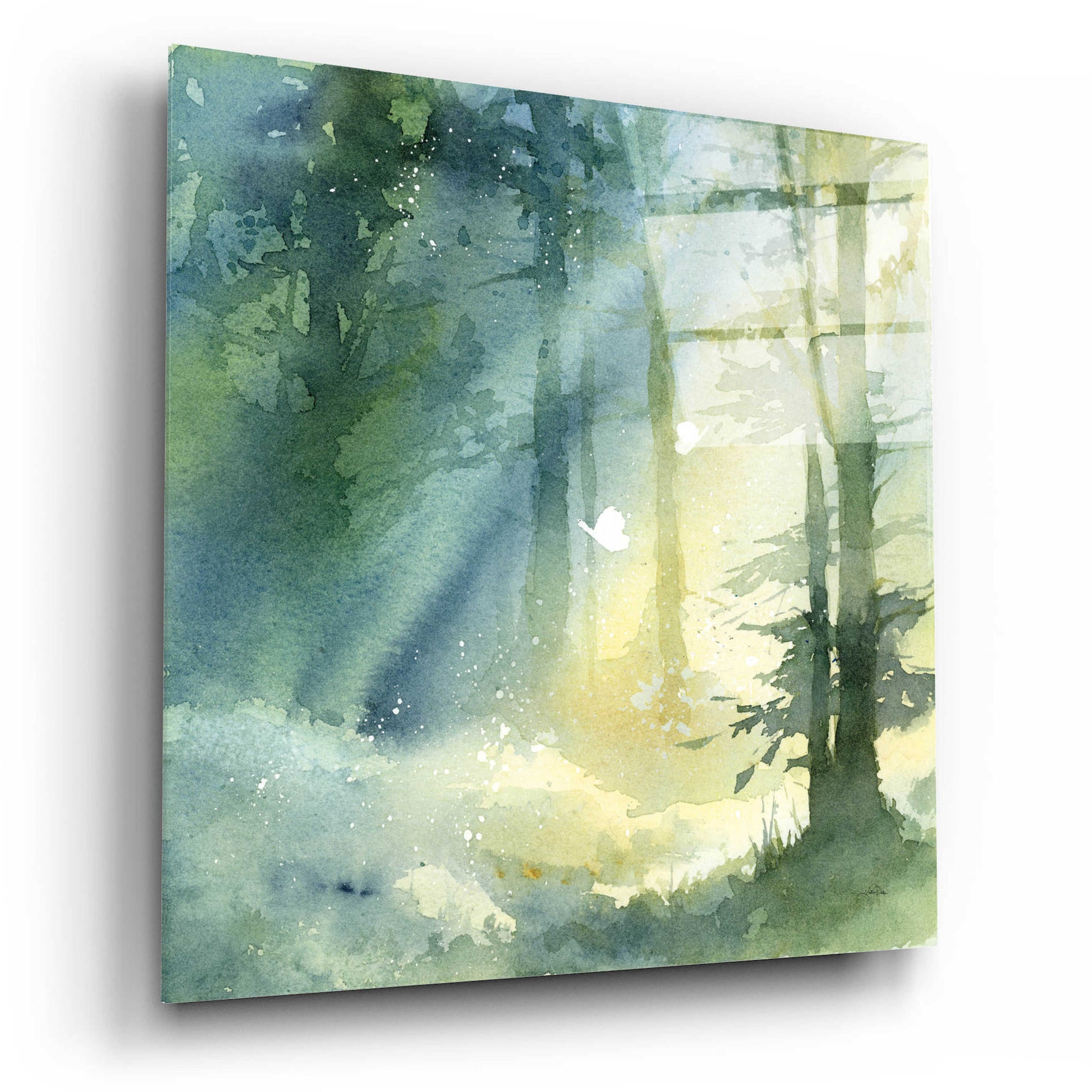 Epic Art 'Shady Grove' by Katrina Pete, Acrylic Glass Wall Art,12x12