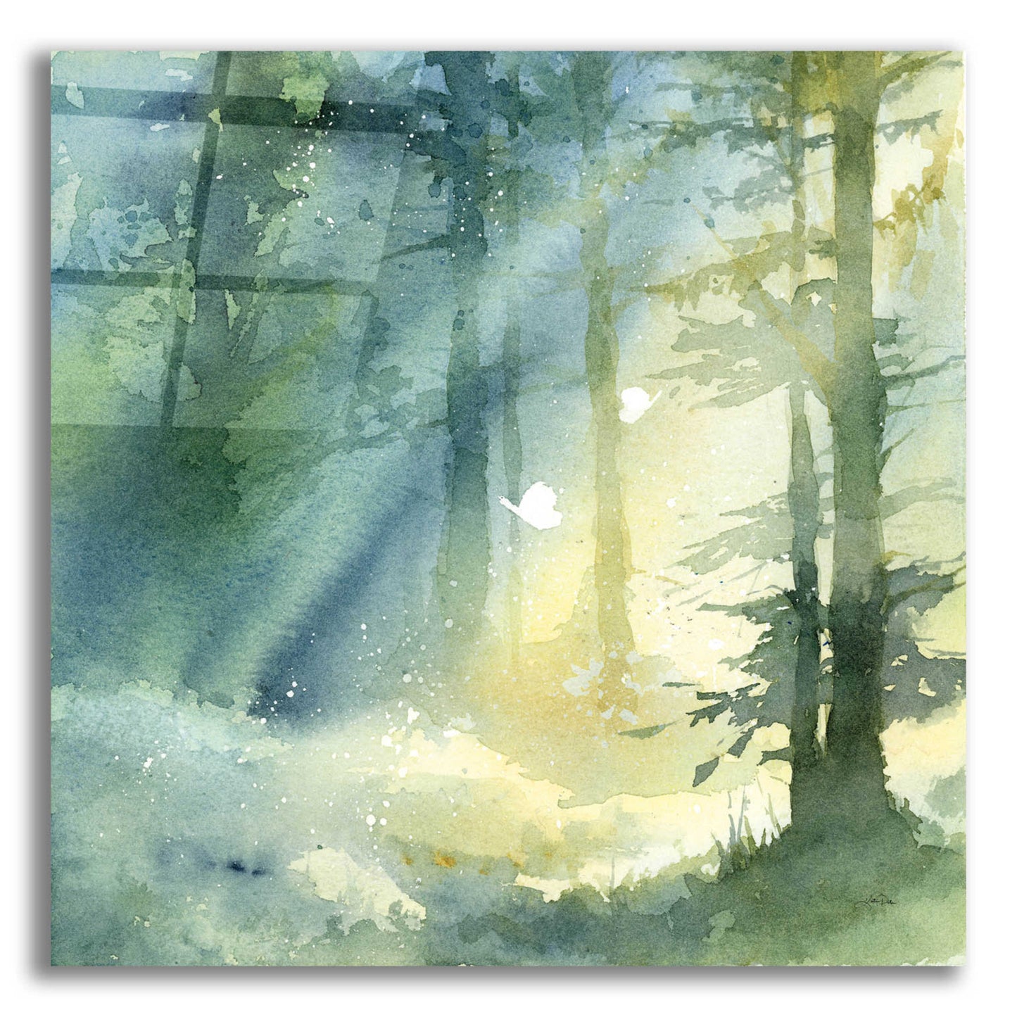 Epic Art 'Shady Grove' by Katrina Pete, Acrylic Glass Wall Art,12x12