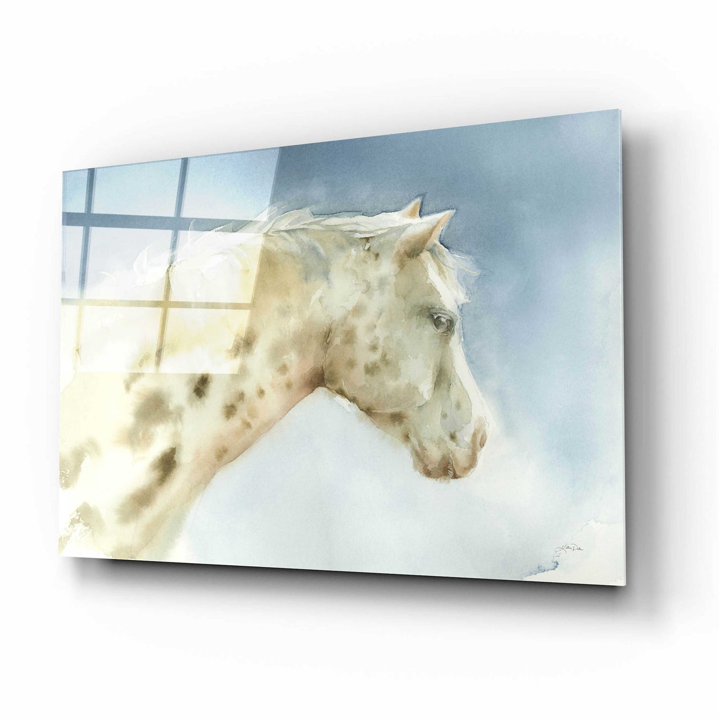 Epic Art 'Dapple Gray Horse' by Katrina Pete, Acrylic Glass Wall Art,16x12