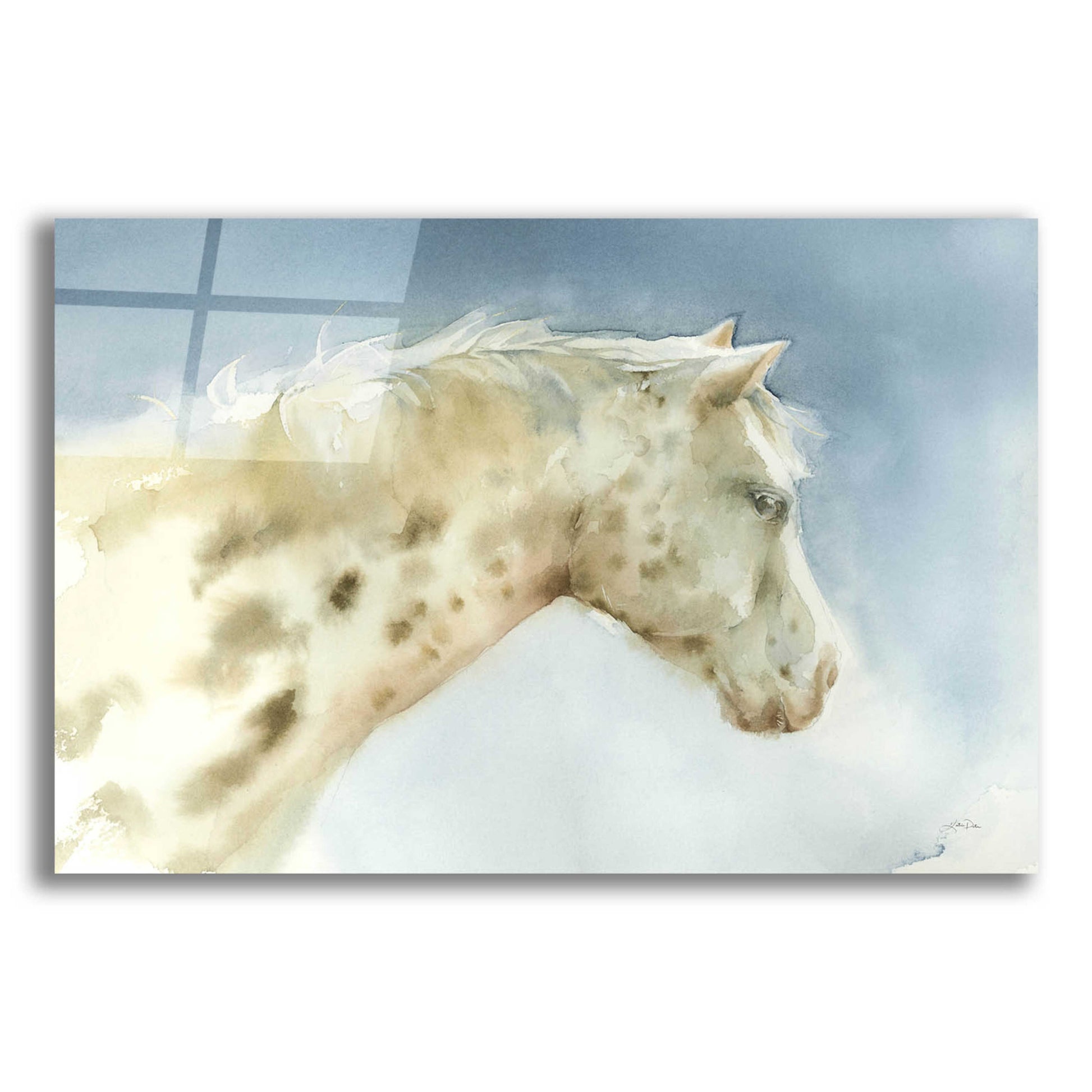 Epic Art 'Dapple Gray Horse' by Katrina Pete, Acrylic Glass Wall Art,16x12