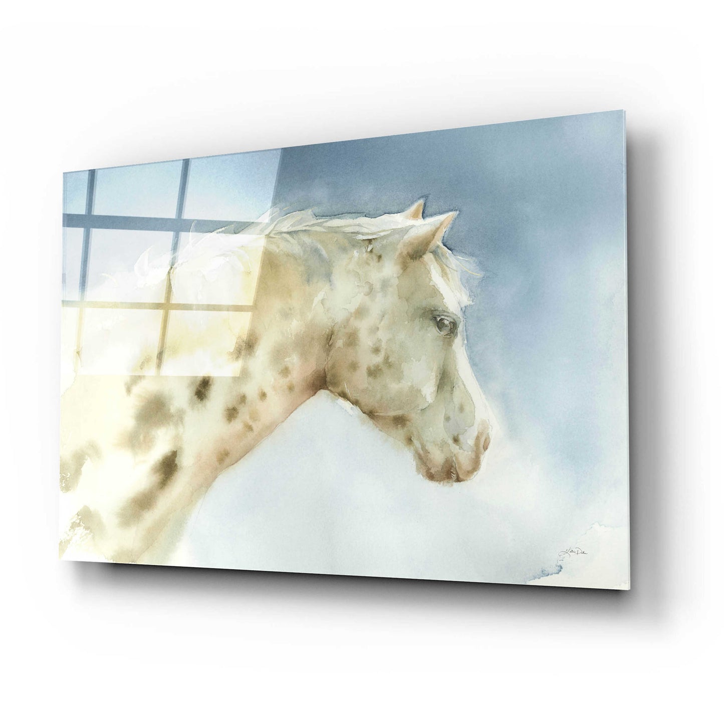 Epic Art 'Dapple Gray Horse' by Katrina Pete, Acrylic Glass Wall Art,24x16