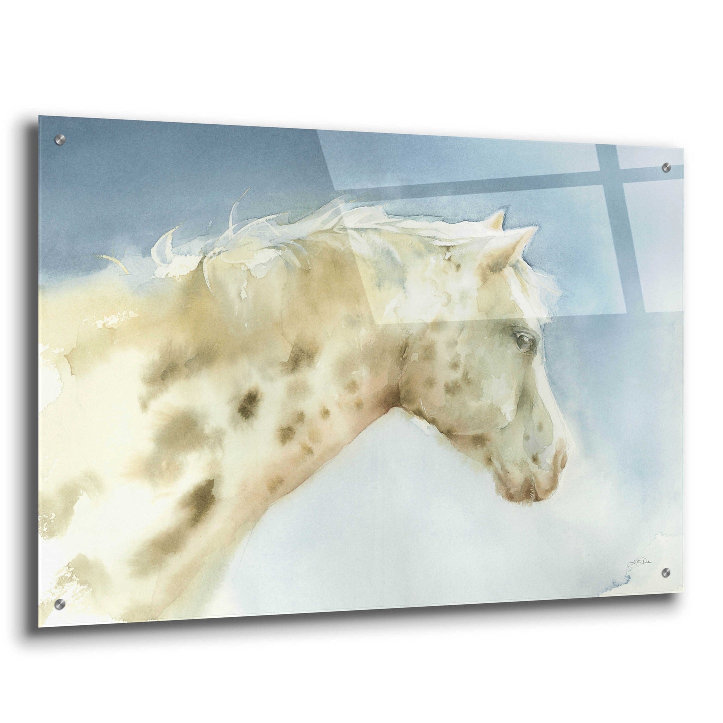 Epic Art 'Dapple Gray Horse' by Katrina Pete, Acrylic Glass Wall Art,36x24