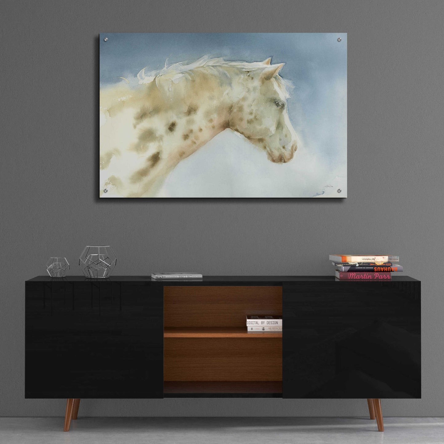 Epic Art 'Dapple Gray Horse' by Katrina Pete, Acrylic Glass Wall Art,36x24