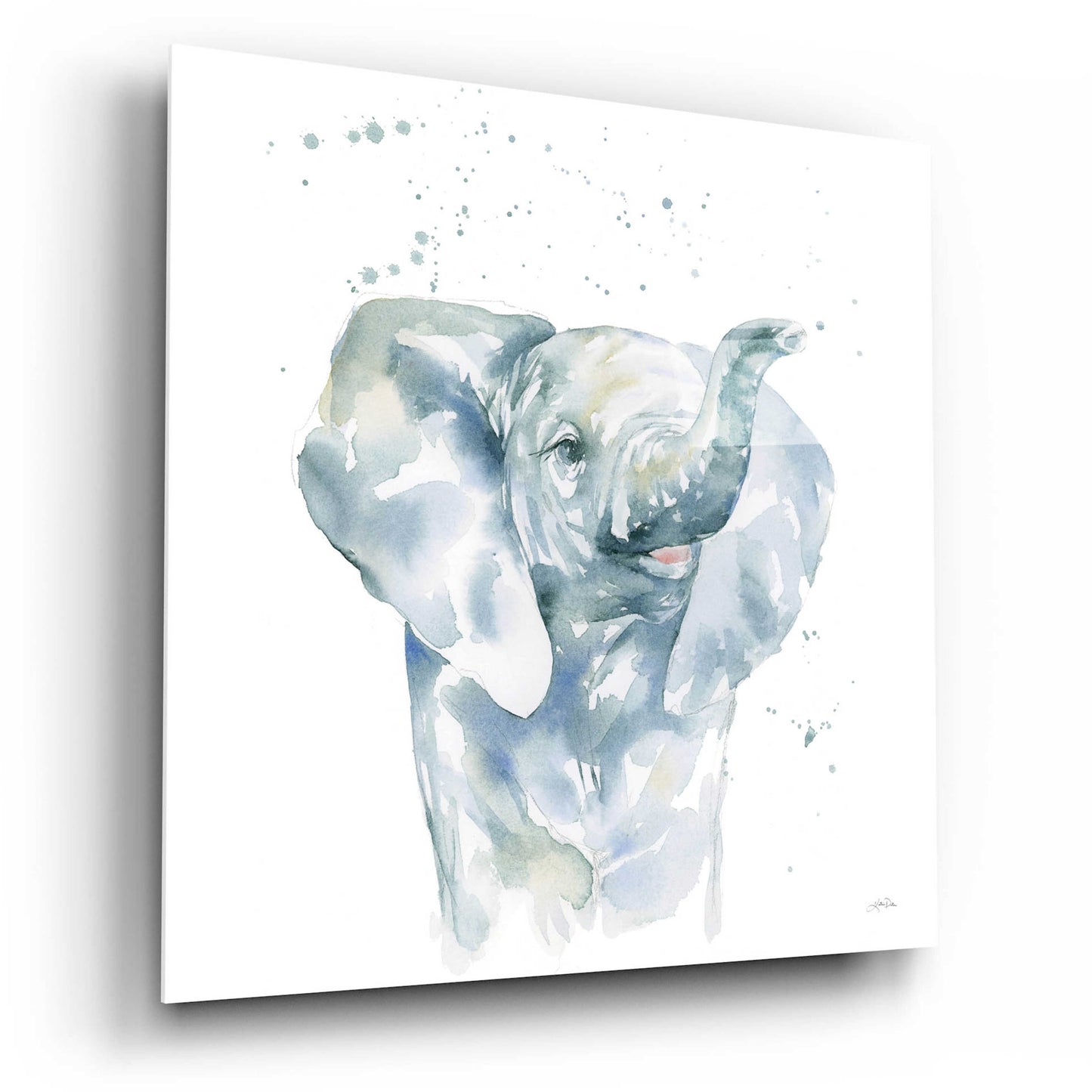 Epic Art 'Baby Elephant' by Katrina Pete, Acrylic Glass Wall Art,12x12