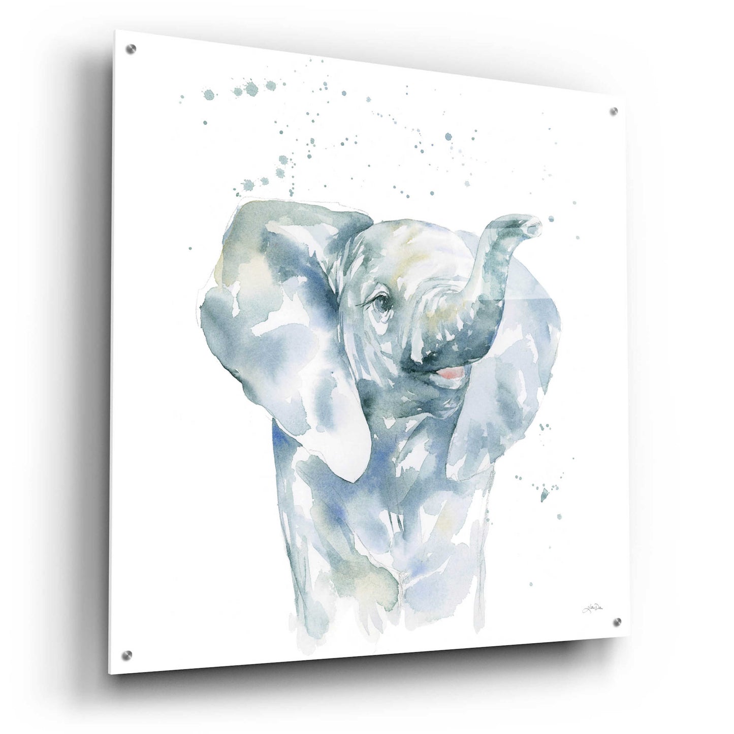 Epic Art 'Baby Elephant' by Katrina Pete, Acrylic Glass Wall Art,36x36