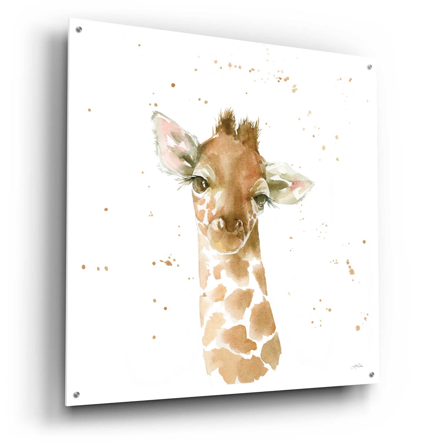 Epic Art 'Baby Giraffe' by Katrina Pete, Acrylic Glass Wall Art,36x36