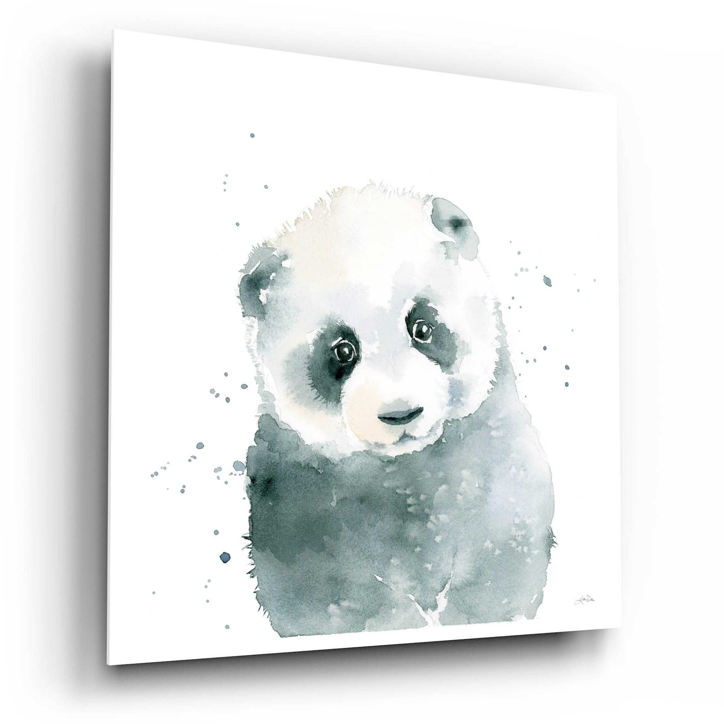 Epic Art 'Panda Cub' by Katrina Pete, Acrylic Glass Wall Art,12x12