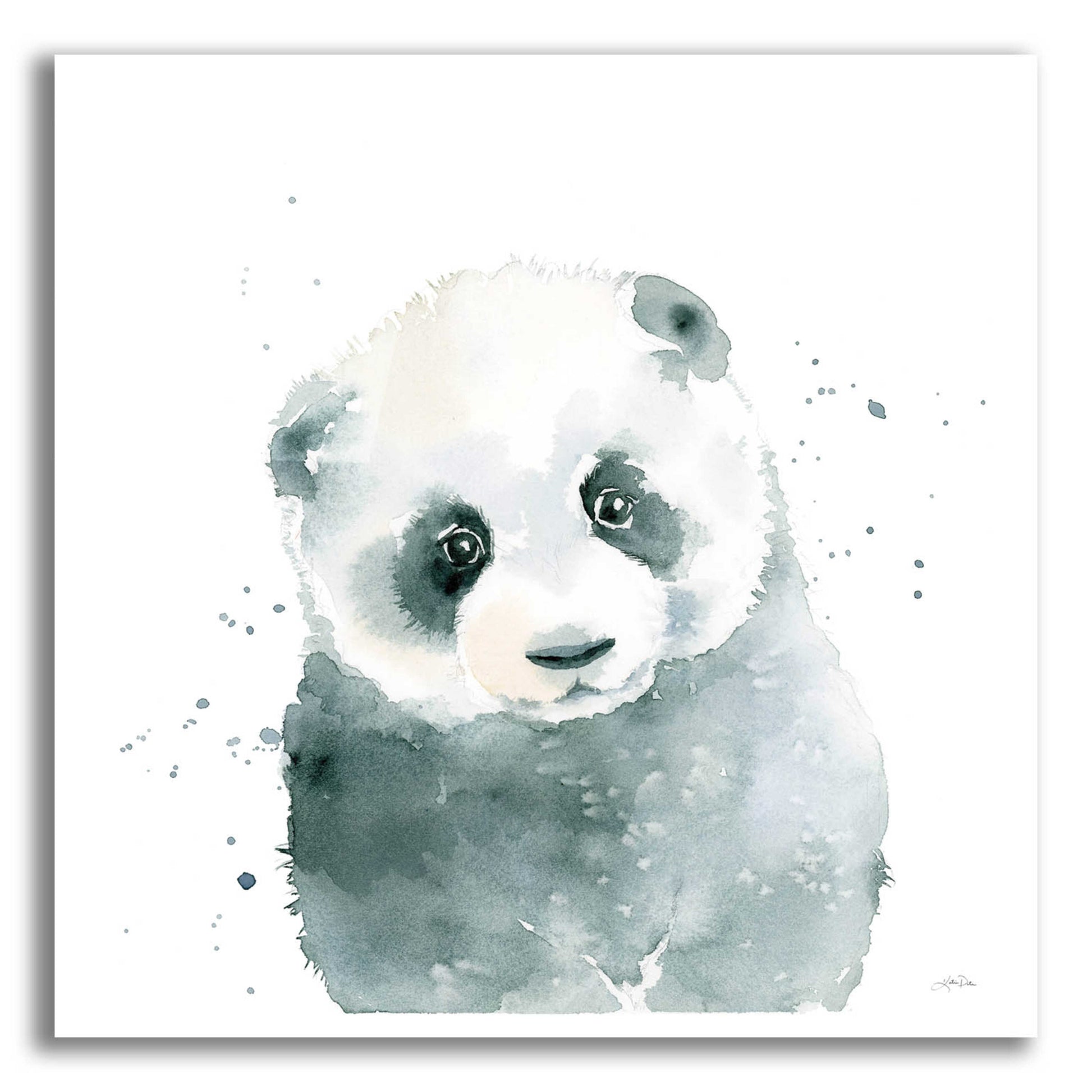 Epic Art 'Panda Cub' by Katrina Pete, Acrylic Glass Wall Art,12x12