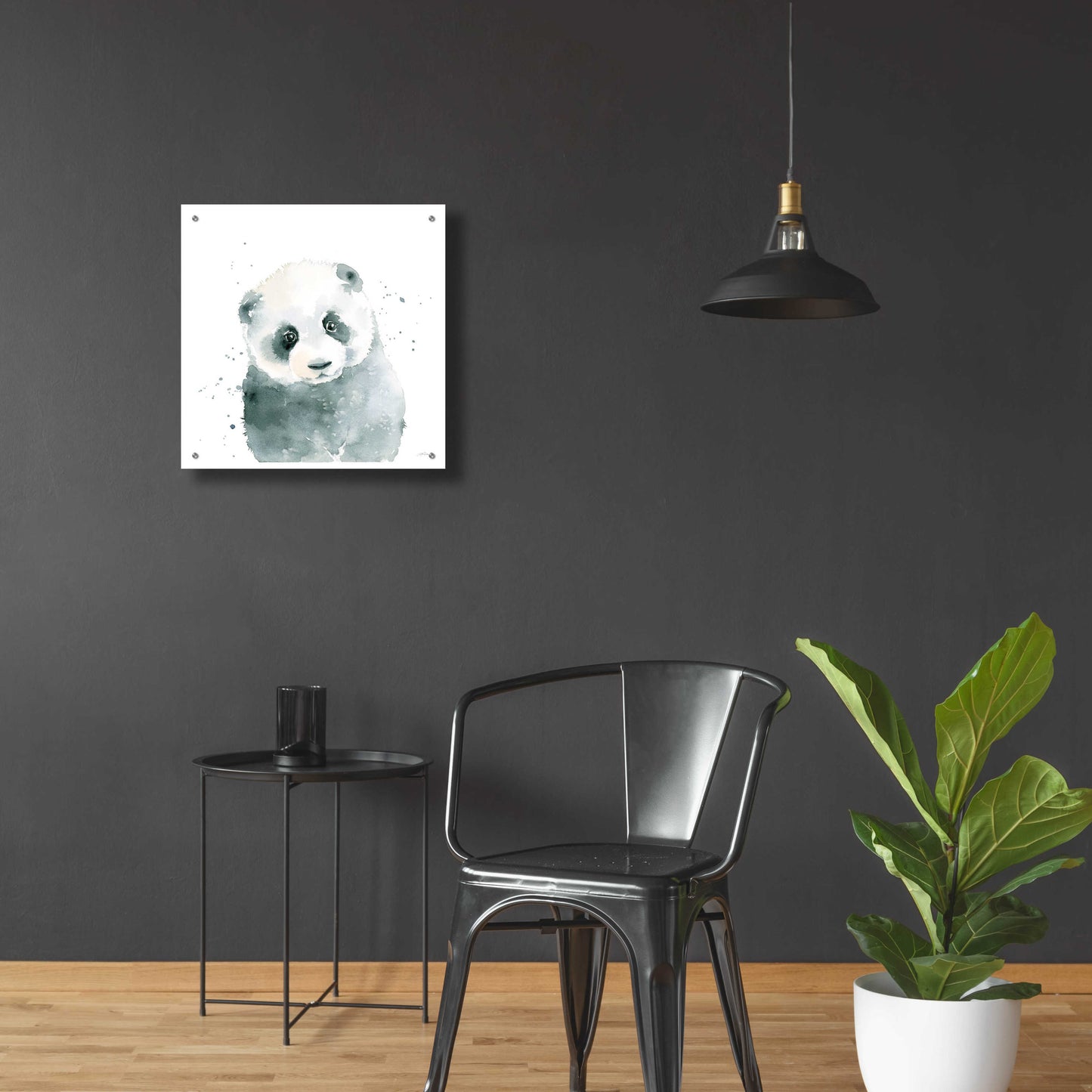 Epic Art 'Panda Cub' by Katrina Pete, Acrylic Glass Wall Art,24x24