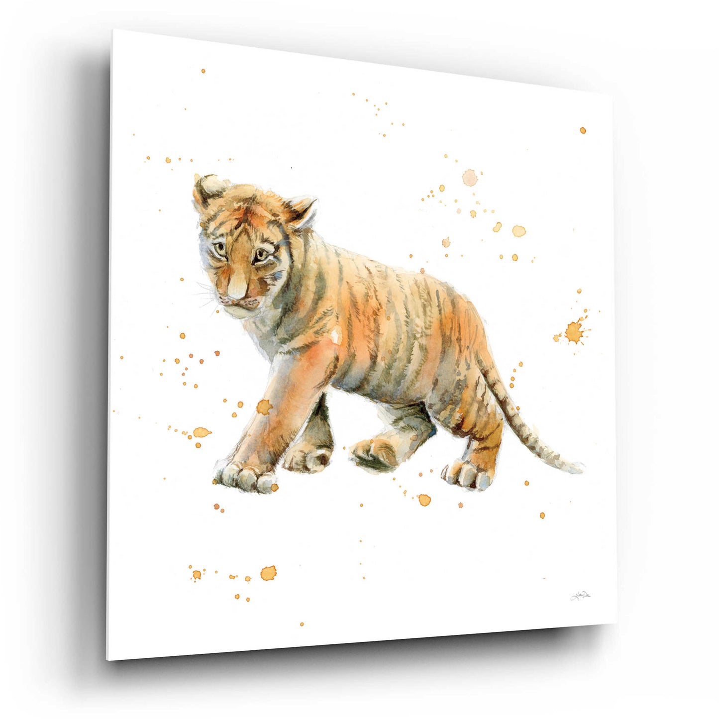 Epic Art 'Tiger Cub' by Katrina Pete, Acrylic Glass Wall Art,12x12