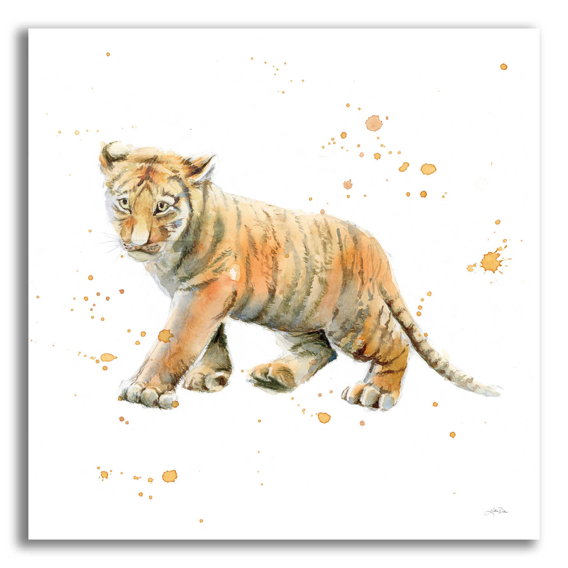 Epic Art 'Tiger Cub' by Katrina Pete, Acrylic Glass Wall Art,12x12