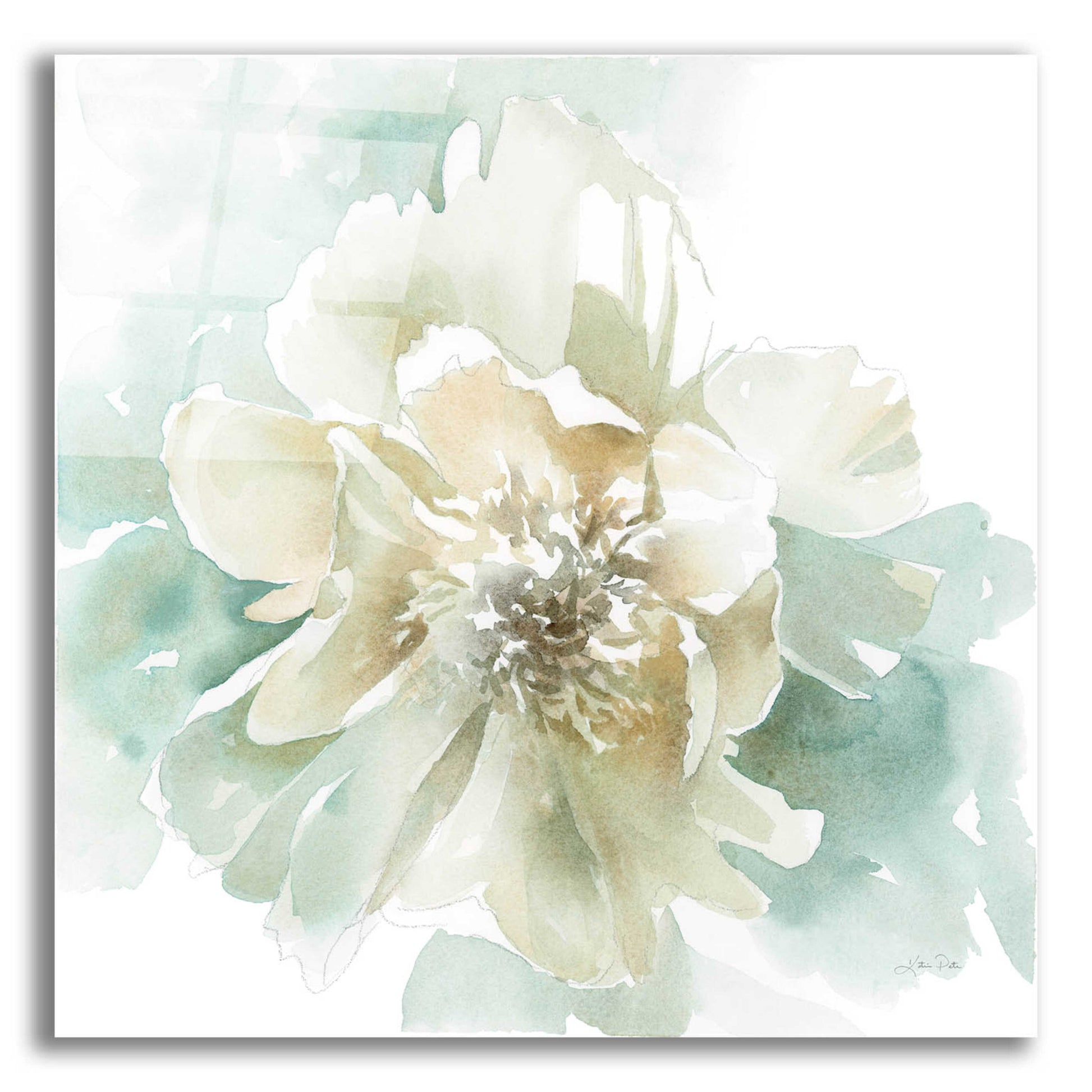 Epic Art 'Poetic Blooming II' by Katrina Pete, Acrylic Glass Wall Art,12x12