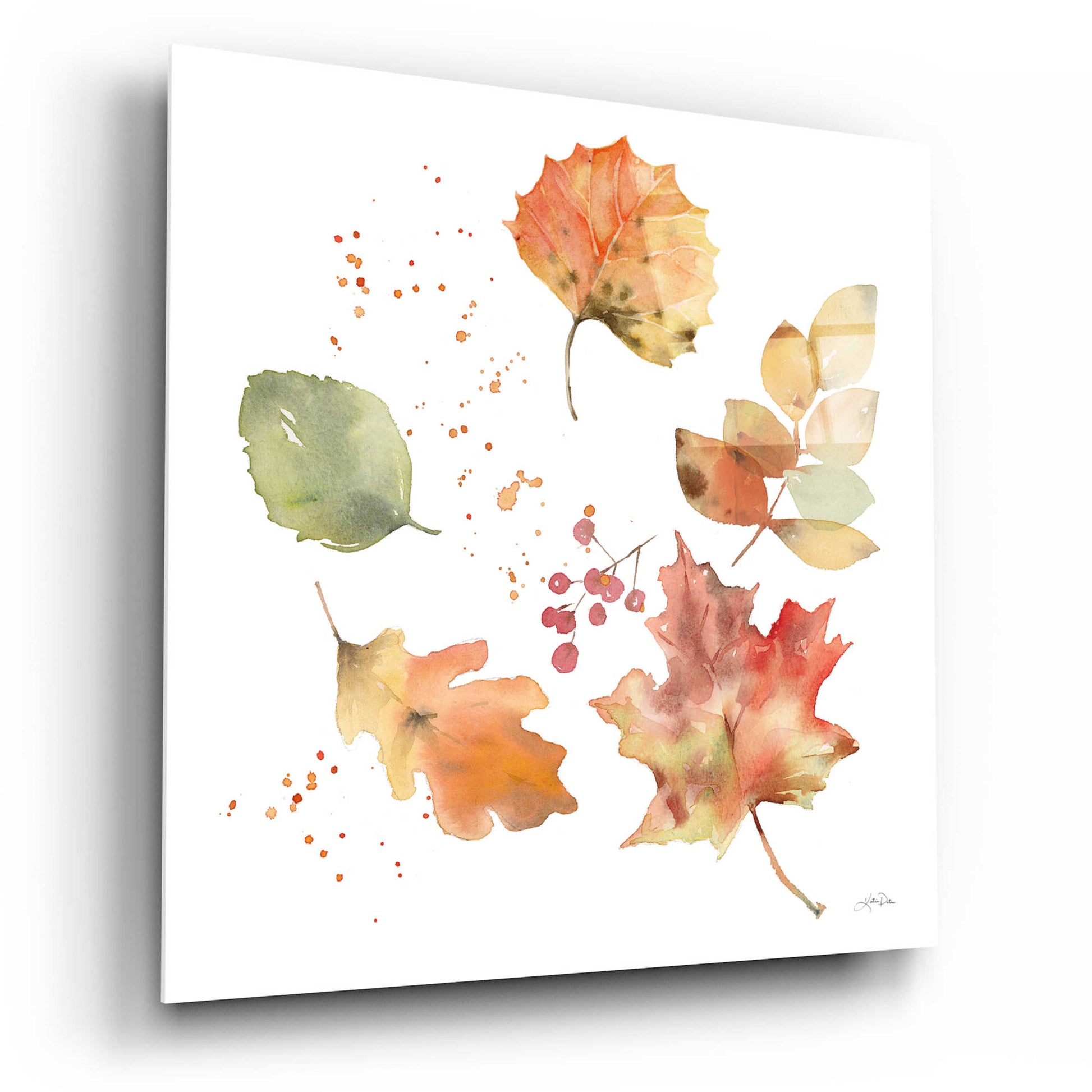 Epic Art 'Falling Leaves I' by Katrina Pete, Acrylic Glass Wall Art,12x12