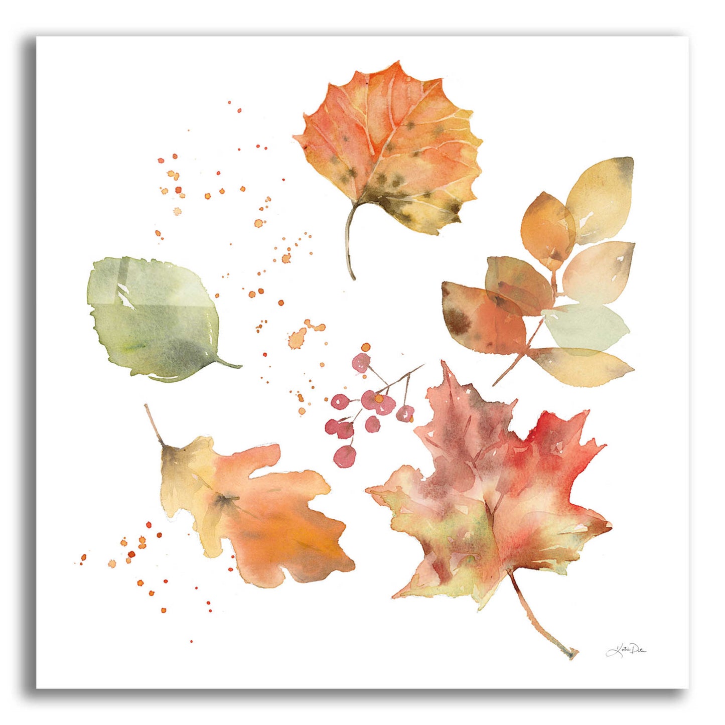 Epic Art 'Falling Leaves I' by Katrina Pete, Acrylic Glass Wall Art,12x12