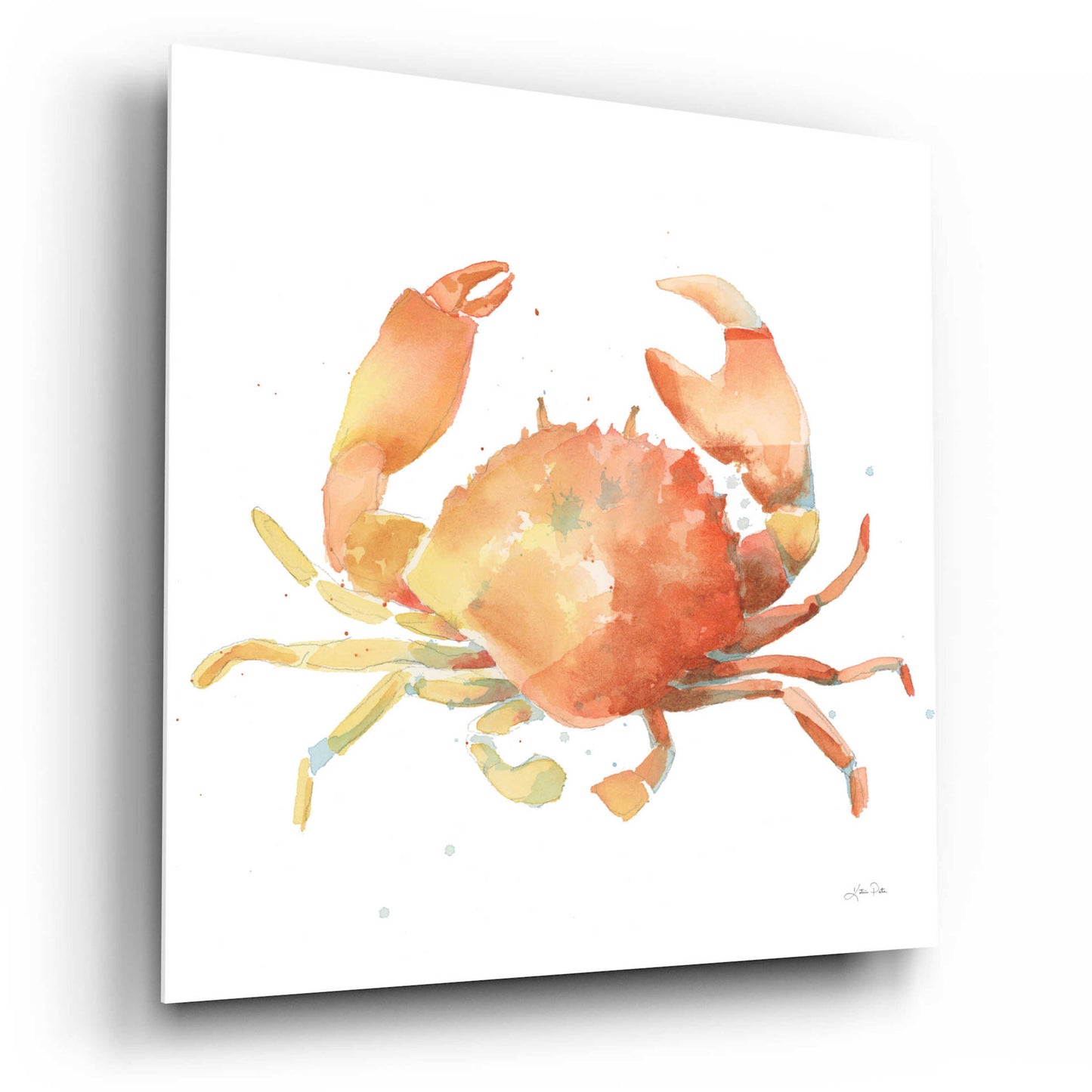 Epic Art 'Summertime Crab' by Katrina Pete, Acrylic Glass Wall Art,12x12