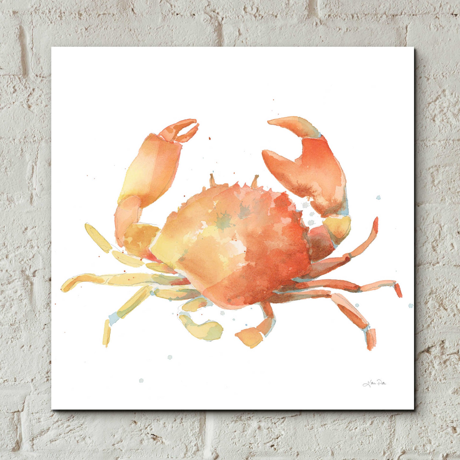 Epic Art 'Summertime Crab' by Katrina Pete, Acrylic Glass Wall Art,12x12