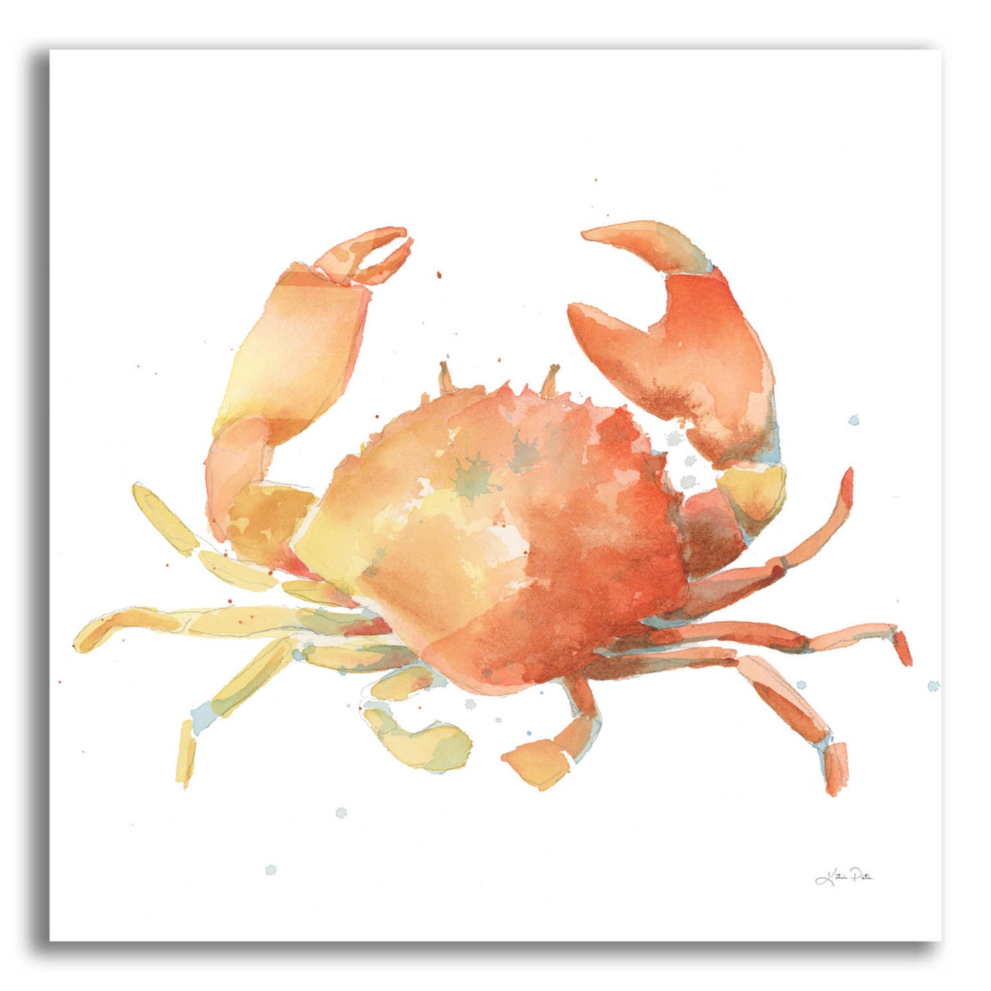 Epic Art 'Summertime Crab' by Katrina Pete, Acrylic Glass Wall Art,12x12