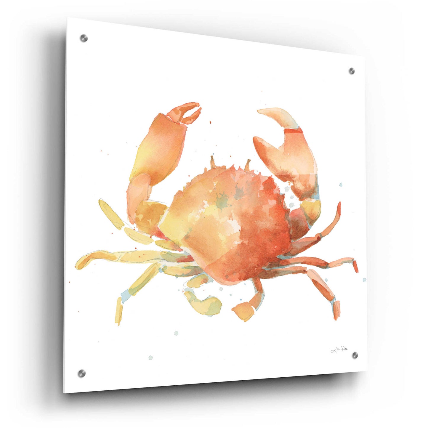 Epic Art 'Summertime Crab' by Katrina Pete, Acrylic Glass Wall Art,24x24