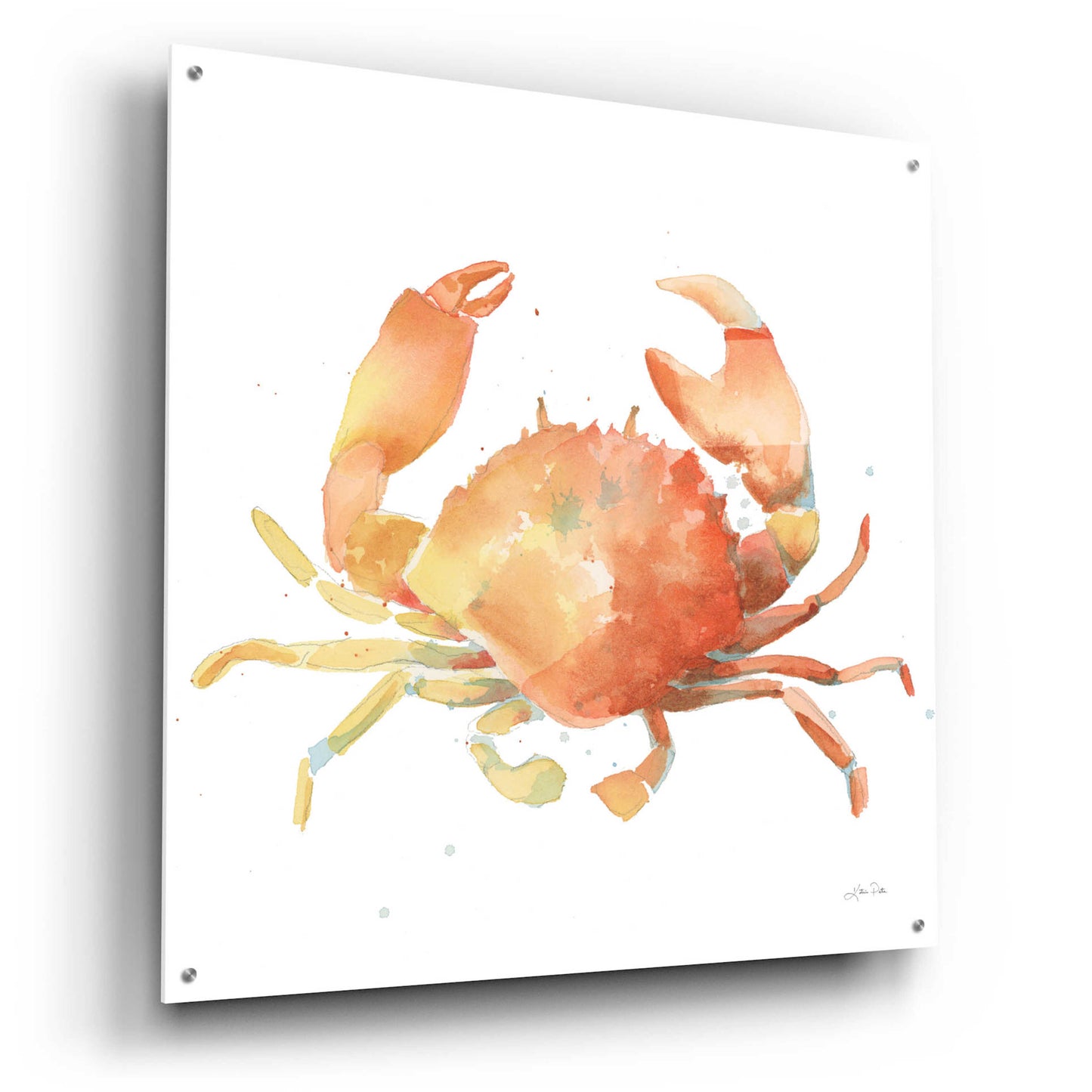 Epic Art 'Summertime Crab' by Katrina Pete, Acrylic Glass Wall Art,36x36