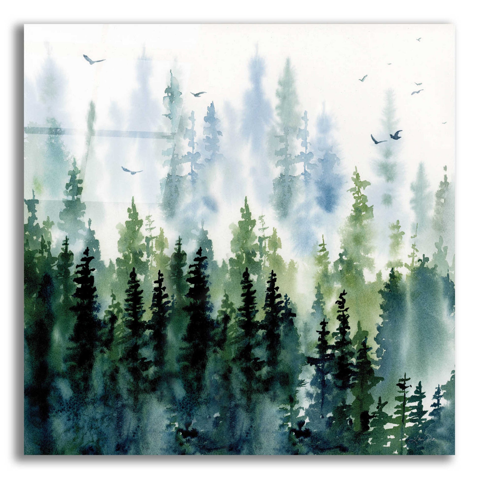 Epic Art 'Evening Treeline Sq' by Katrina Pete, Acrylic Glass Wall Art,12x12