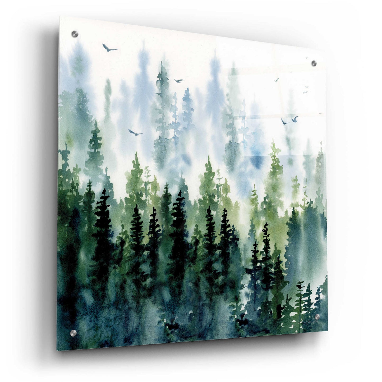 Epic Art 'Evening Treeline Sq' by Katrina Pete, Acrylic Glass Wall Art,24x24