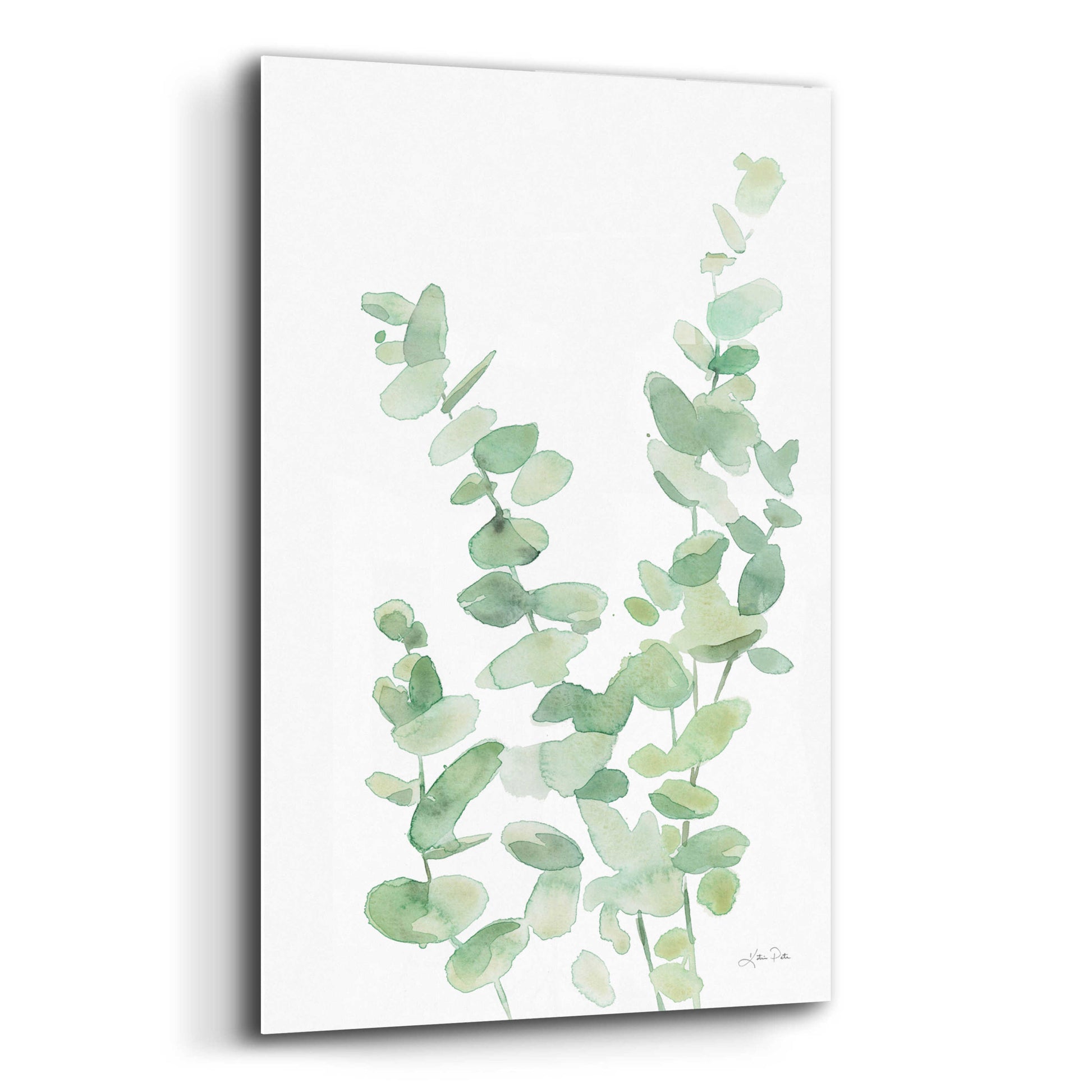 Epic Art 'Eucalyptus II' by Katrina Pete, Acrylic Glass Wall Art,12x16