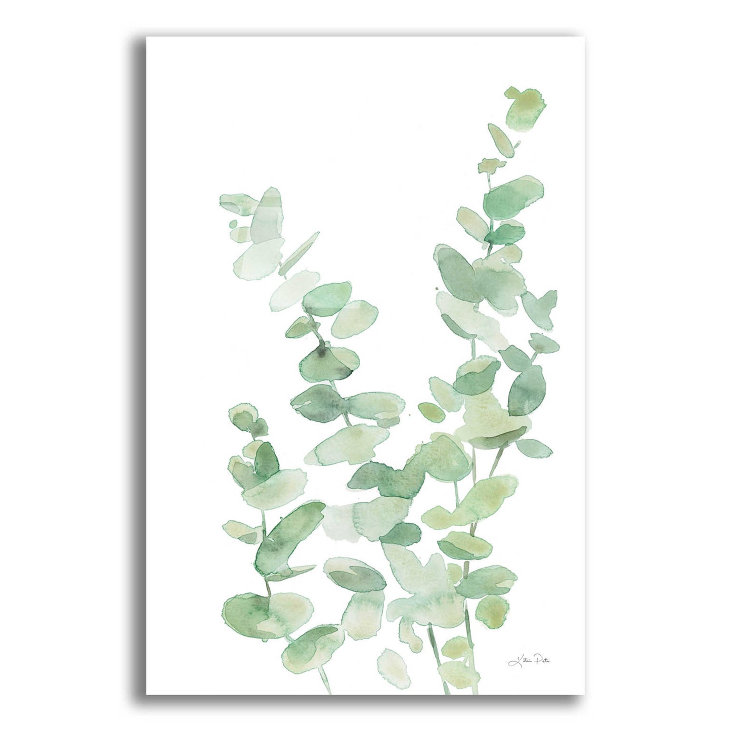 Epic Art 'Eucalyptus II' by Katrina Pete, Acrylic Glass Wall Art,16x24