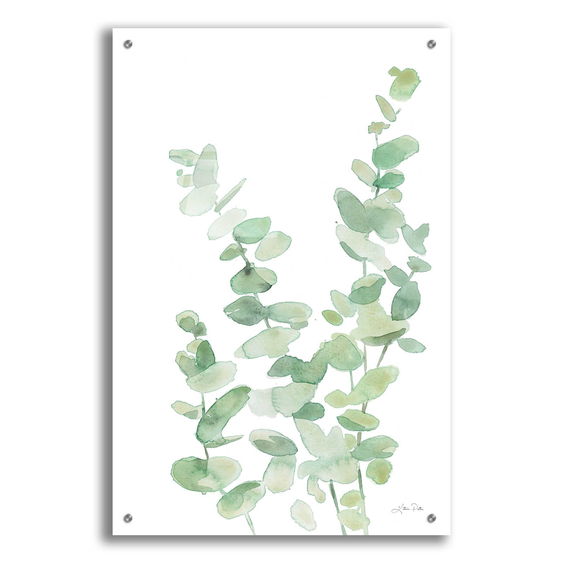 Epic Art 'Eucalyptus II' by Katrina Pete, Acrylic Glass Wall Art,24x36