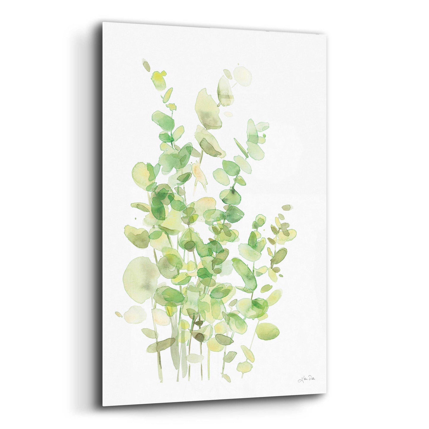 Epic Art 'Eucalyptus III' by Katrina Pete, Acrylic Glass Wall Art,12x16