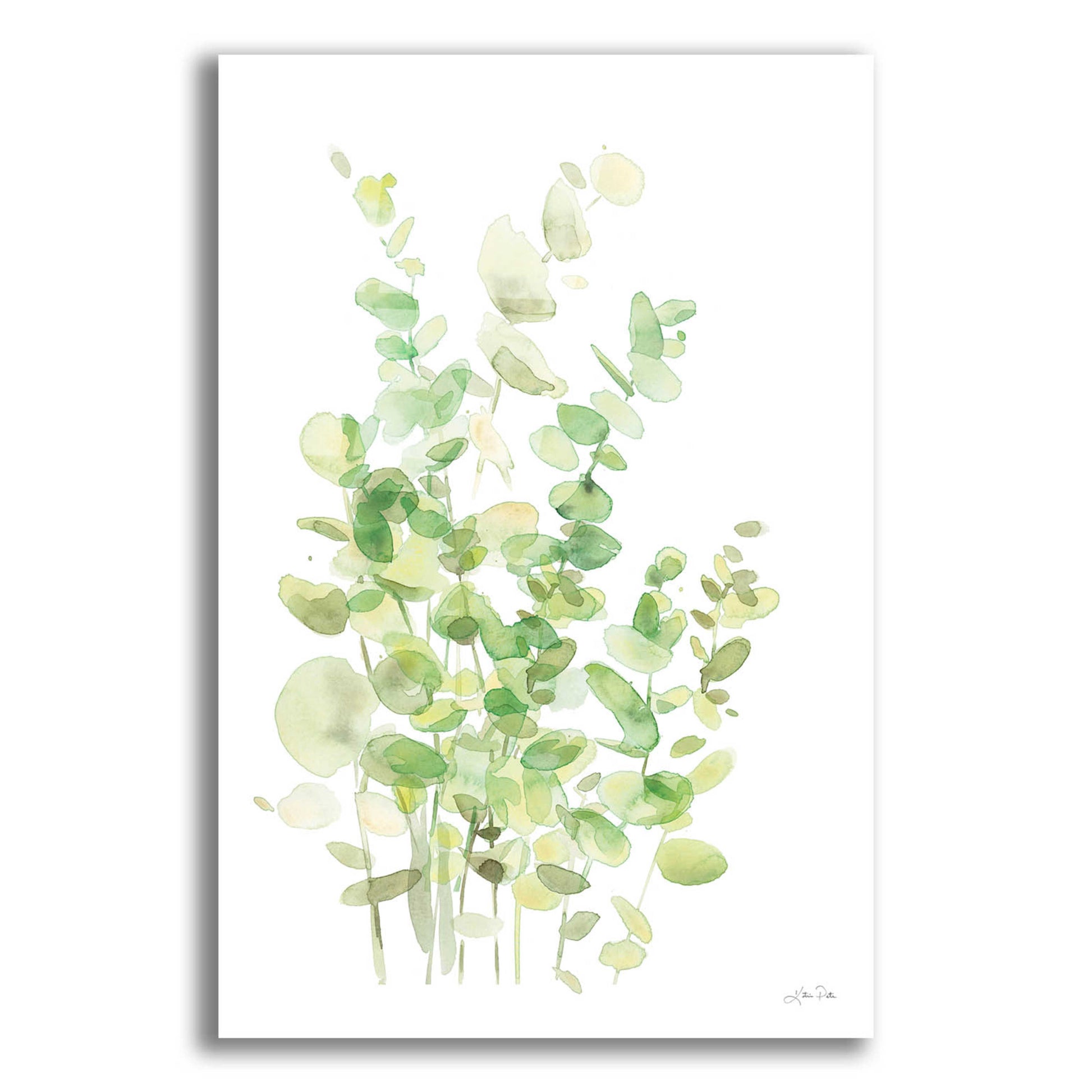 Epic Art 'Eucalyptus III' by Katrina Pete, Acrylic Glass Wall Art,12x16