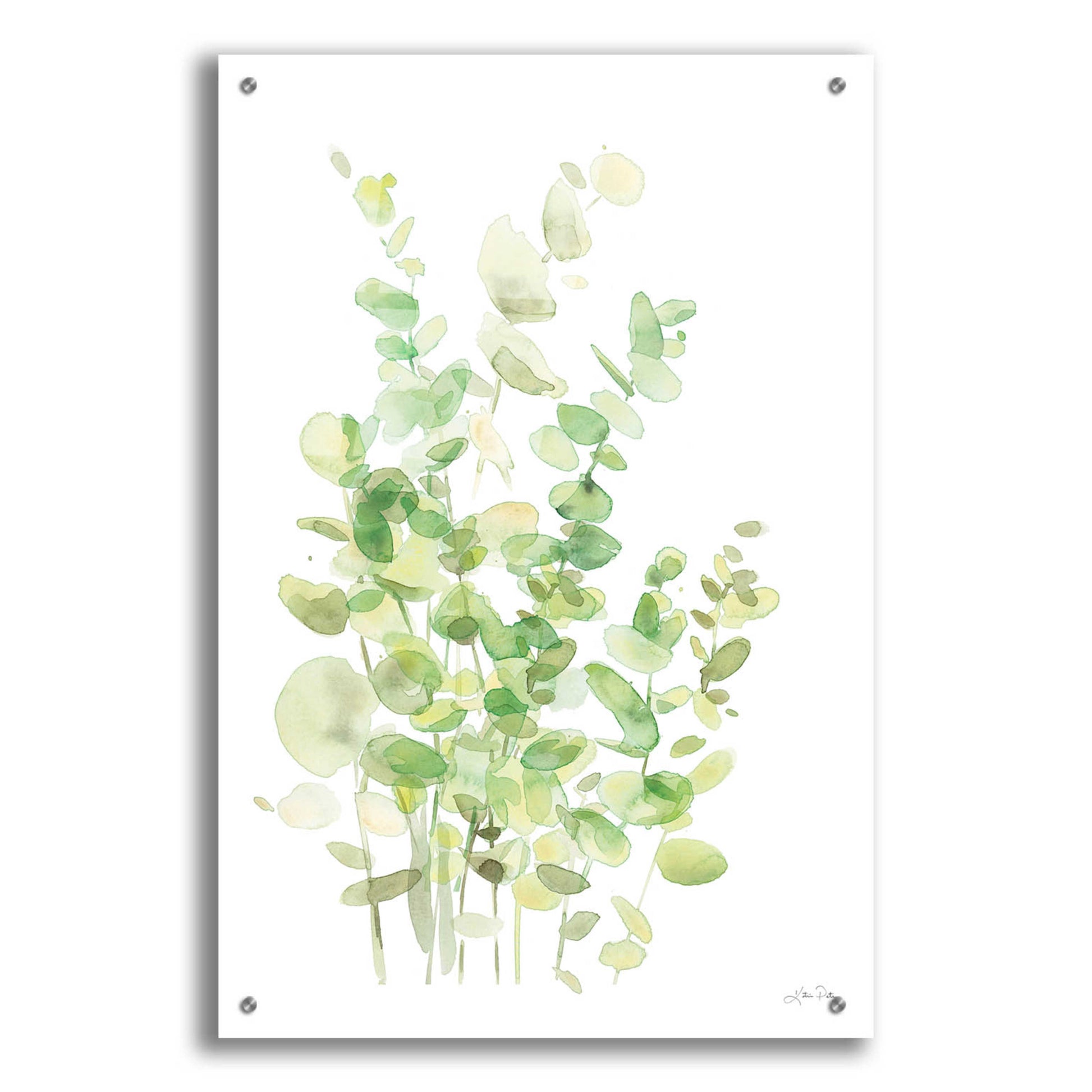 Epic Art 'Eucalyptus III' by Katrina Pete, Acrylic Glass Wall Art,24x36