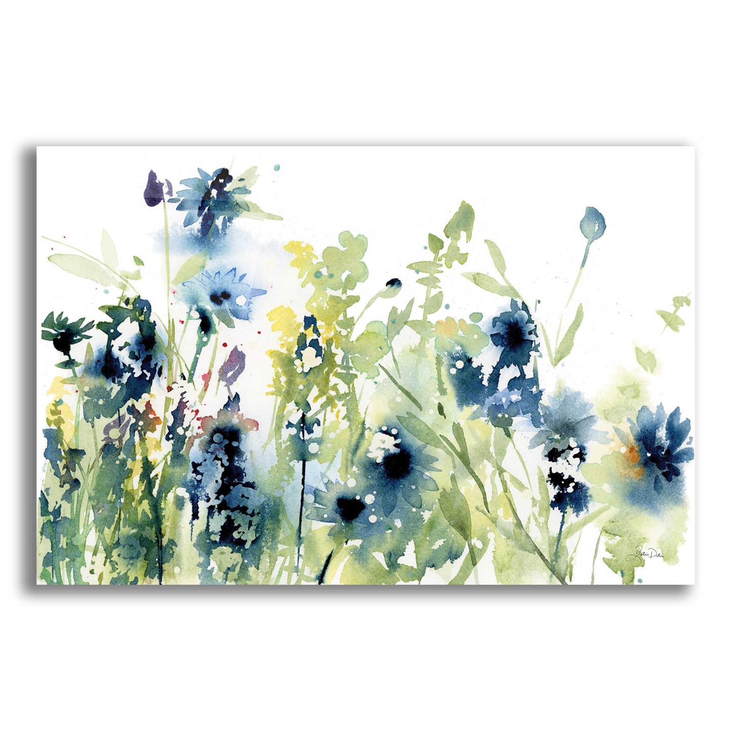 Epic Art 'Wild Meadow Flowers' by Katrina Pete, Acrylic Glass Wall Art,16x12