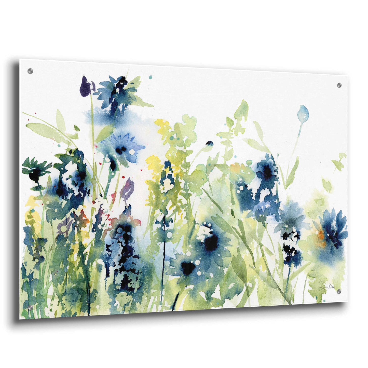 Epic Art 'Wild Meadow Flowers' by Katrina Pete, Acrylic Glass Wall Art,36x24