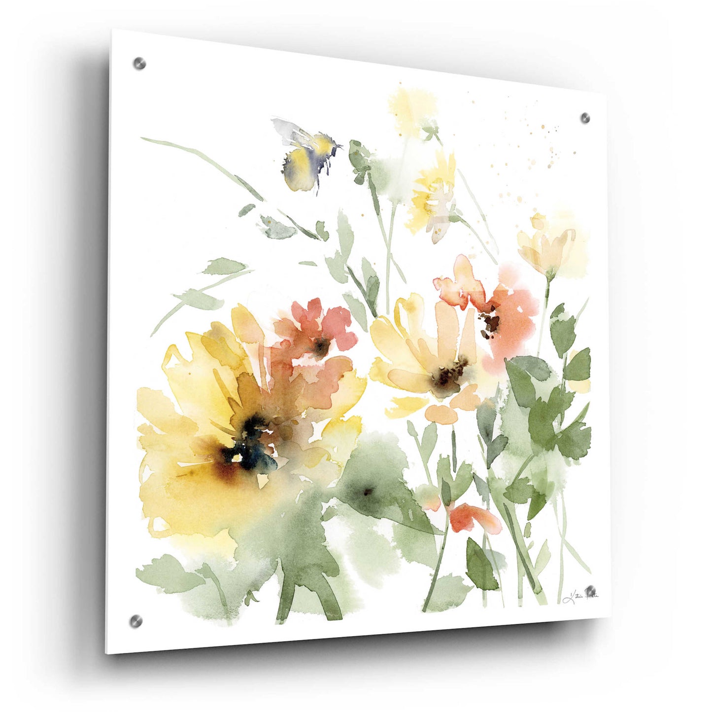 Epic Art 'Sunflower Meadow I' by Katrina Pete, Acrylic Glass Wall Art,24x24