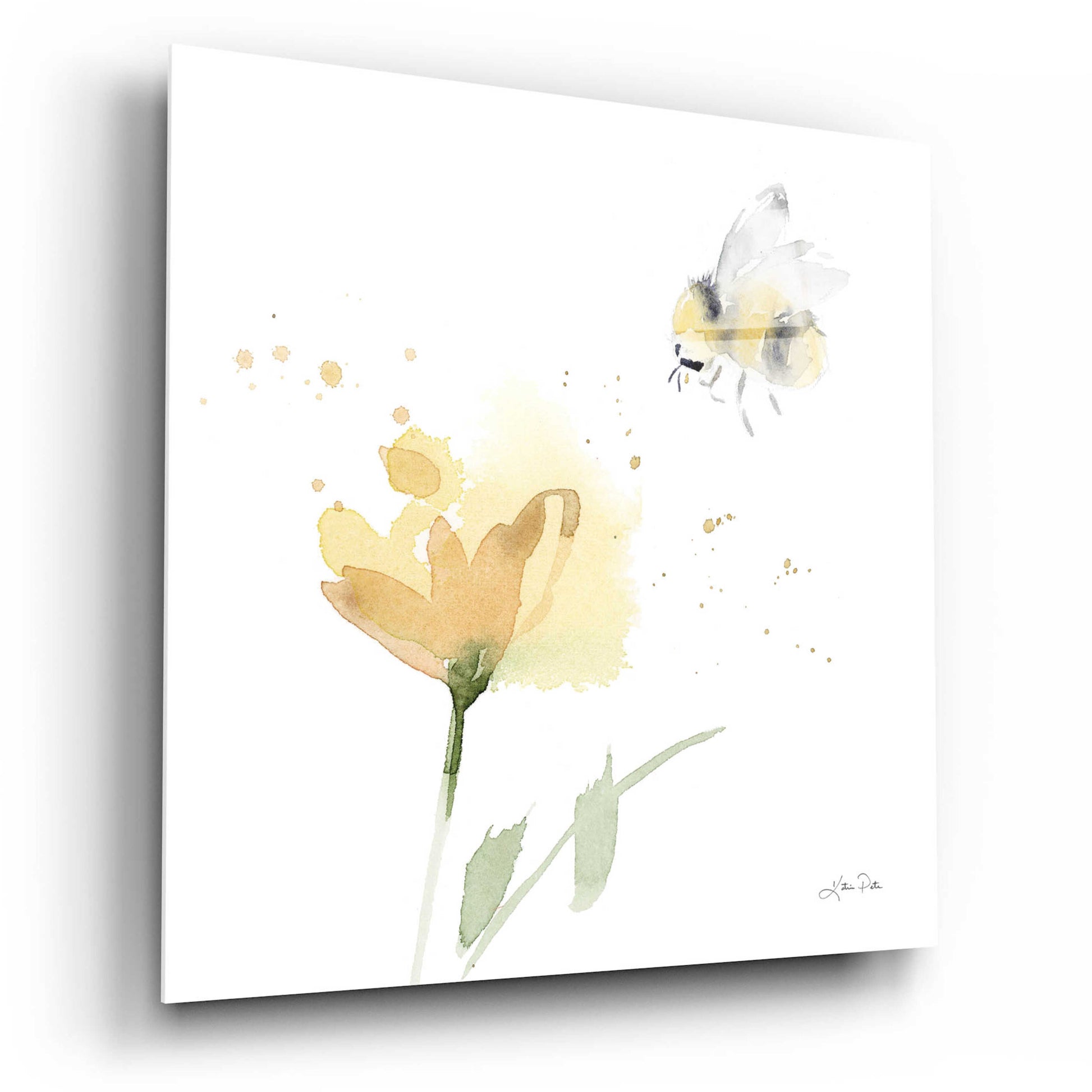 Epic Art 'Sunflower Meadow V' by Katrina Pete, Acrylic Glass Wall Art,12x12