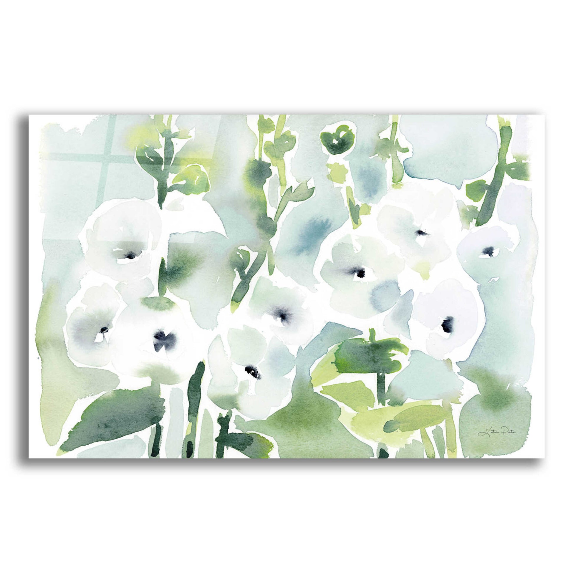 Epic Art 'White Hollyhocks' by Katrina Pete, Acrylic Glass Wall Art,16x12