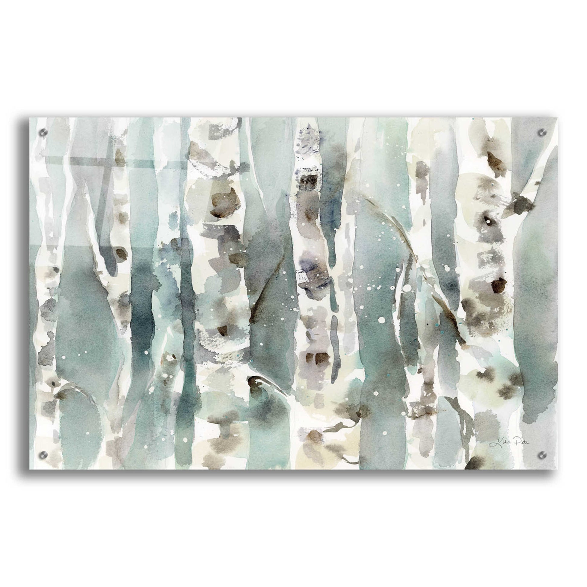 Epic Art 'Winter Birches' by Katrina Pete, Acrylic Glass Wall Art,36x24