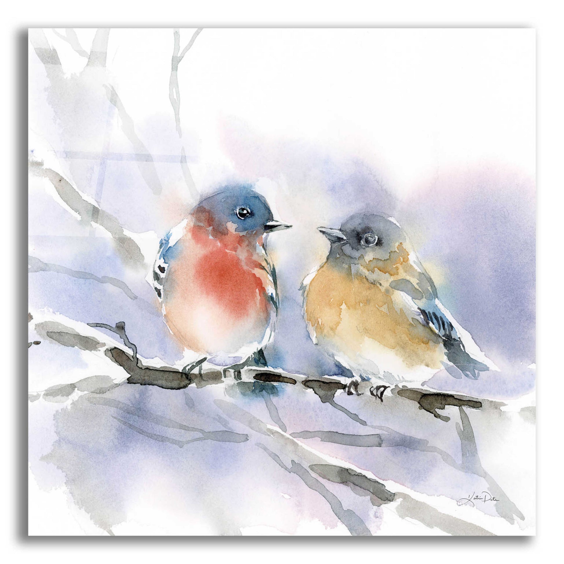 Epic Art 'Bluebird Pair' by Katrina Pete, Acrylic Glass Wall Art,12x12