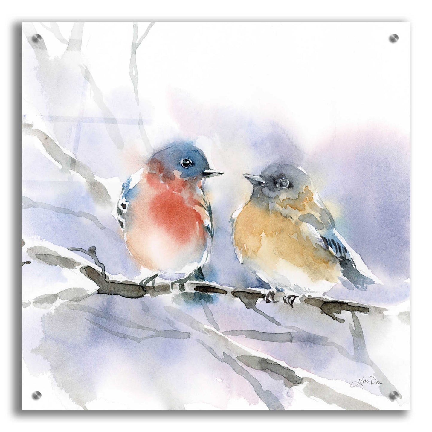 Epic Art 'Bluebird Pair' by Katrina Pete, Acrylic Glass Wall Art,24x24