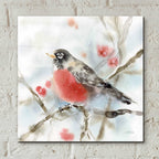 Epic Art 'Winter Robin' by Katrina Pete, Acrylic Glass Wall Art,12x12