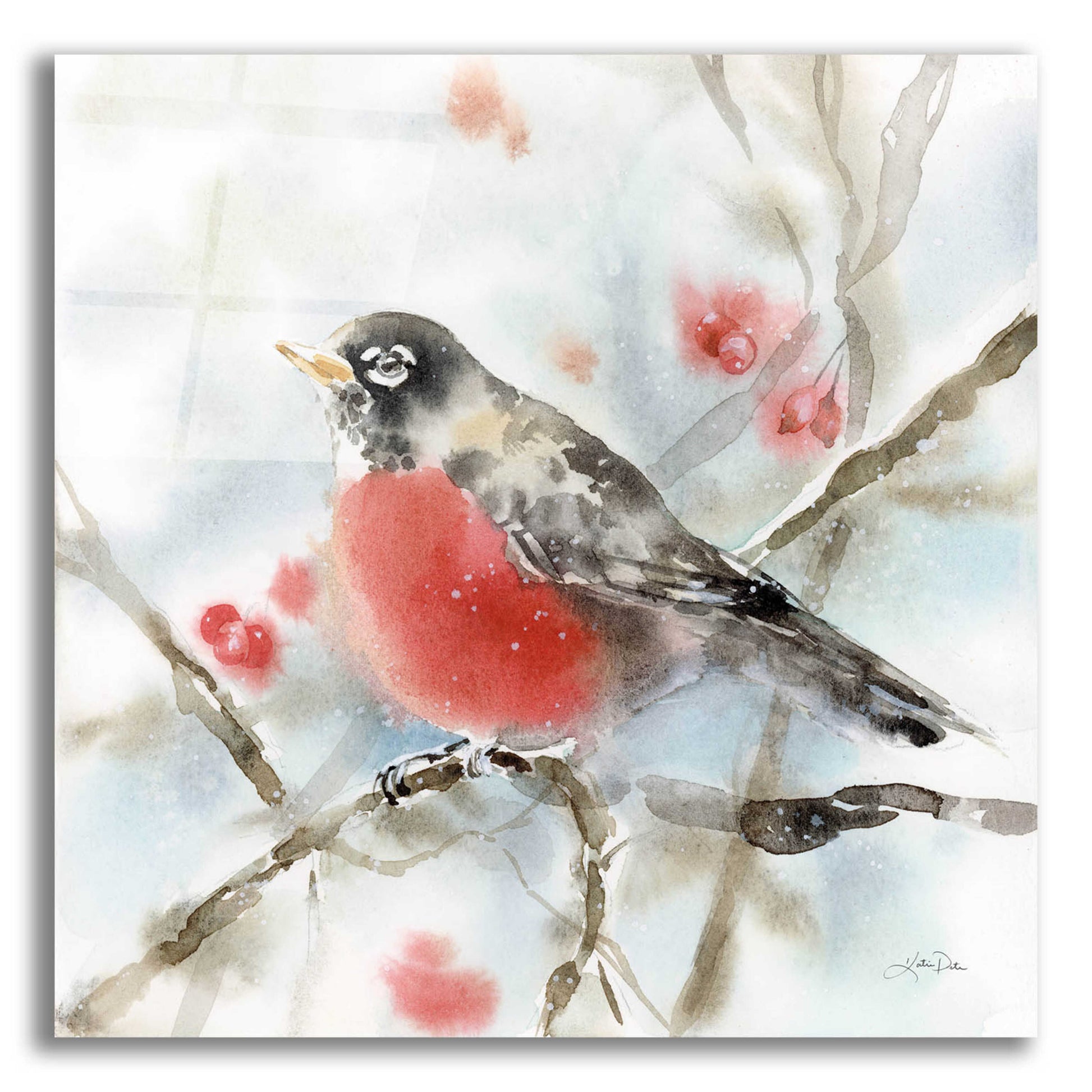 Epic Art 'Winter Robin' by Katrina Pete, Acrylic Glass Wall Art,12x12