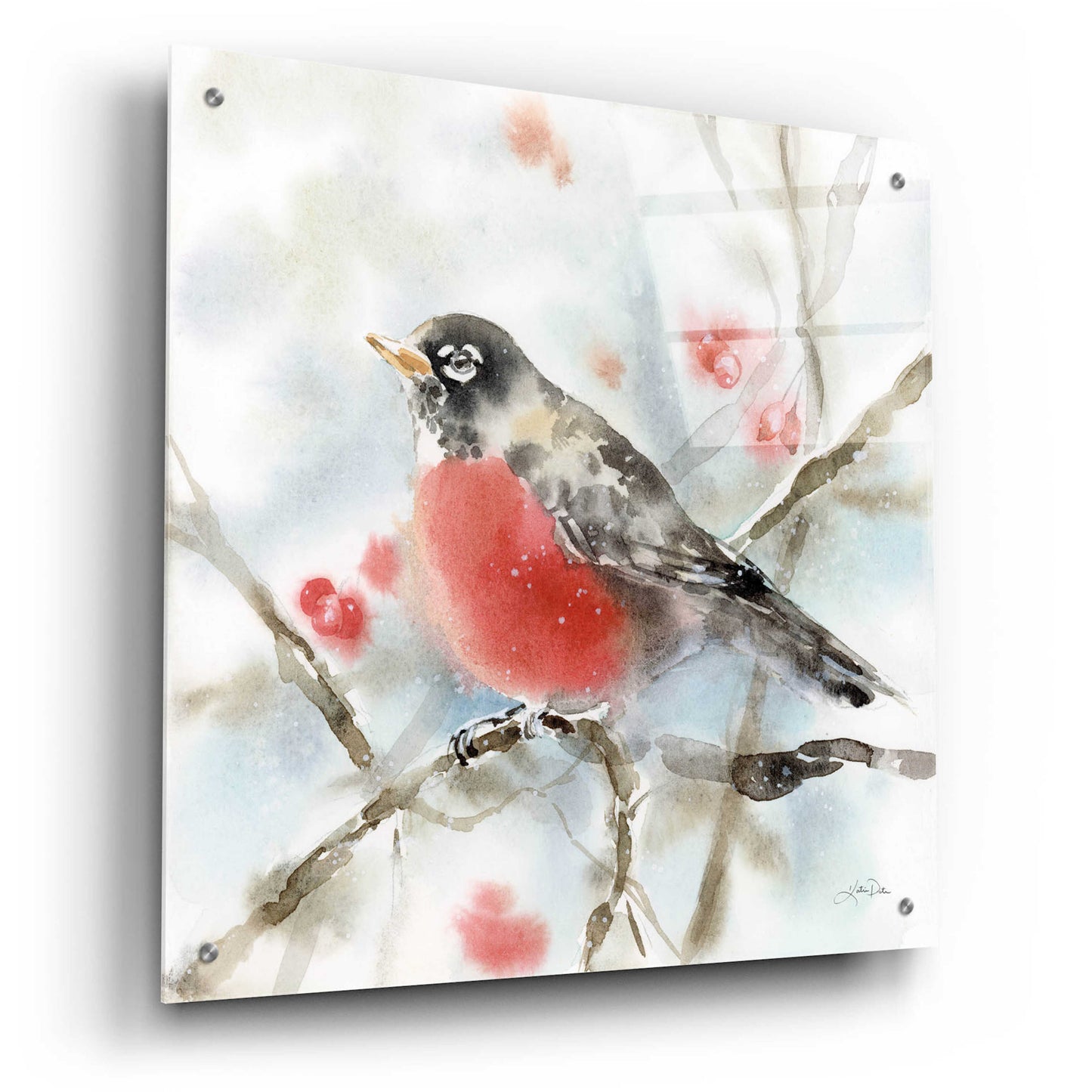 Epic Art 'Winter Robin' by Katrina Pete, Acrylic Glass Wall Art,24x24