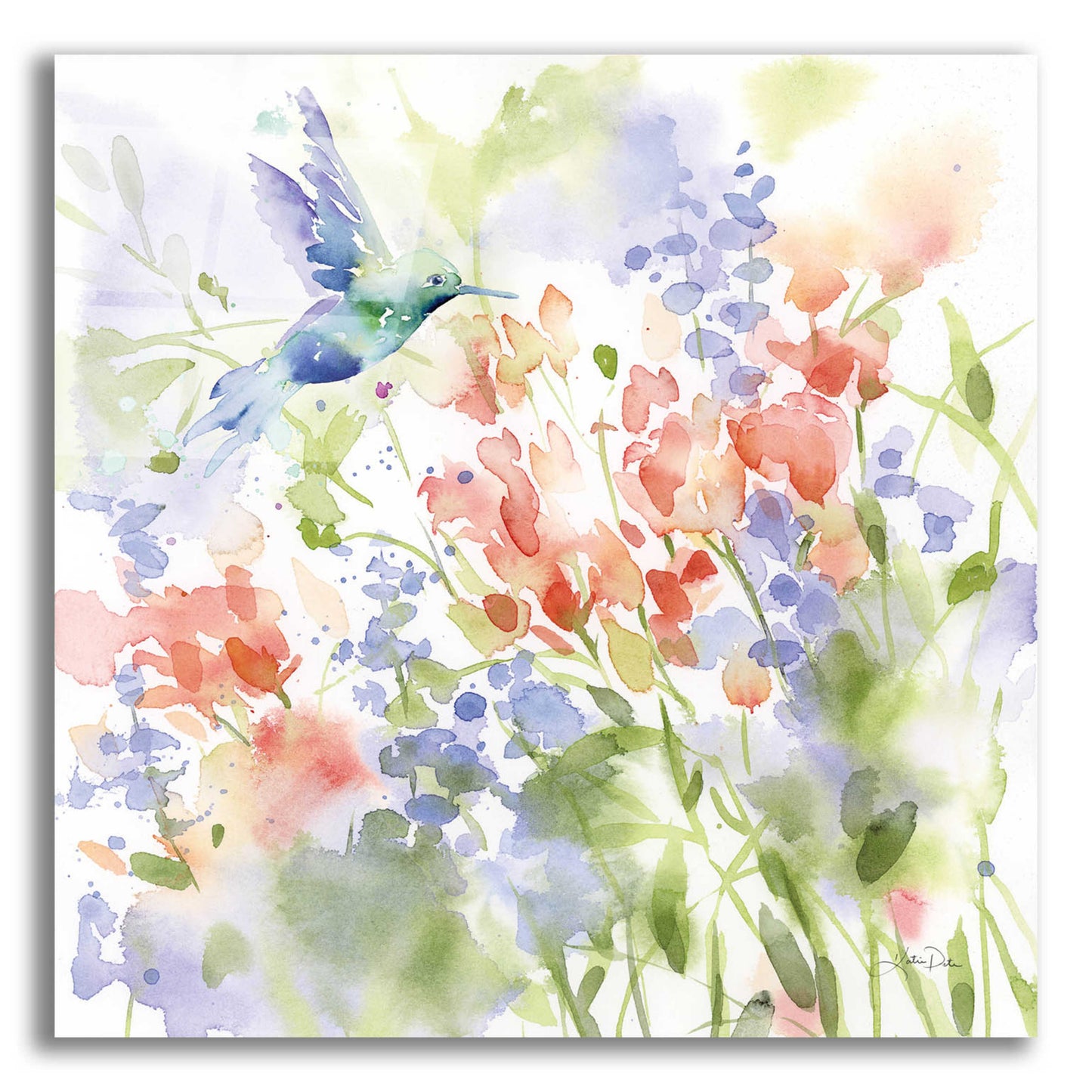 Epic Art 'Hummingbird Meadow' by Katrina Pete, Acrylic Glass Wall Art,12x12