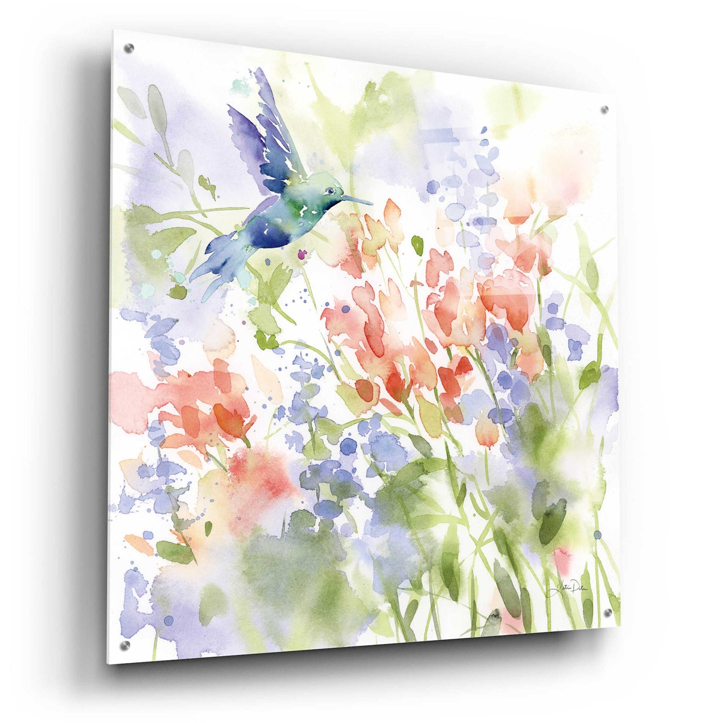 Epic Art 'Hummingbird Meadow' by Katrina Pete, Acrylic Glass Wall Art,36x36