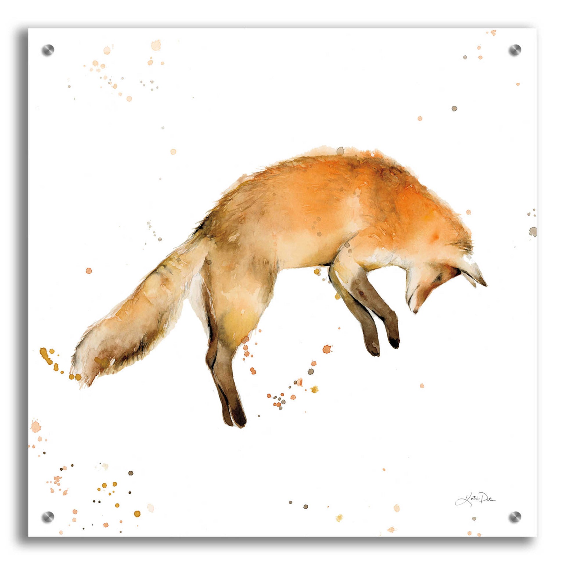 Epic Art 'Jumping Fox' by Katrina Pete, Acrylic Glass Wall Art,24x24