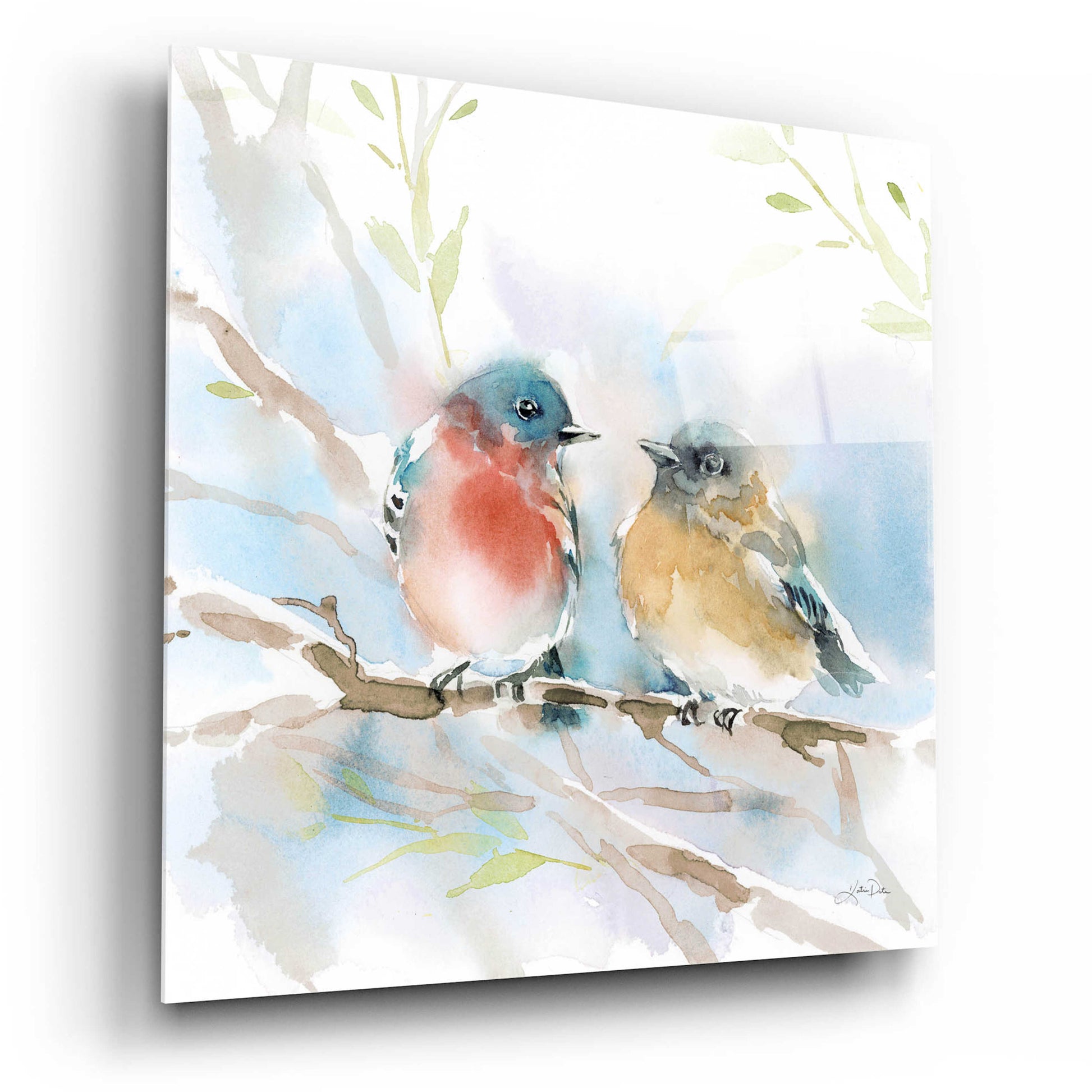 Epic Art 'Bluebird Pair in Spring' by Katrina Pete, Acrylic Glass Wall Art,12x12