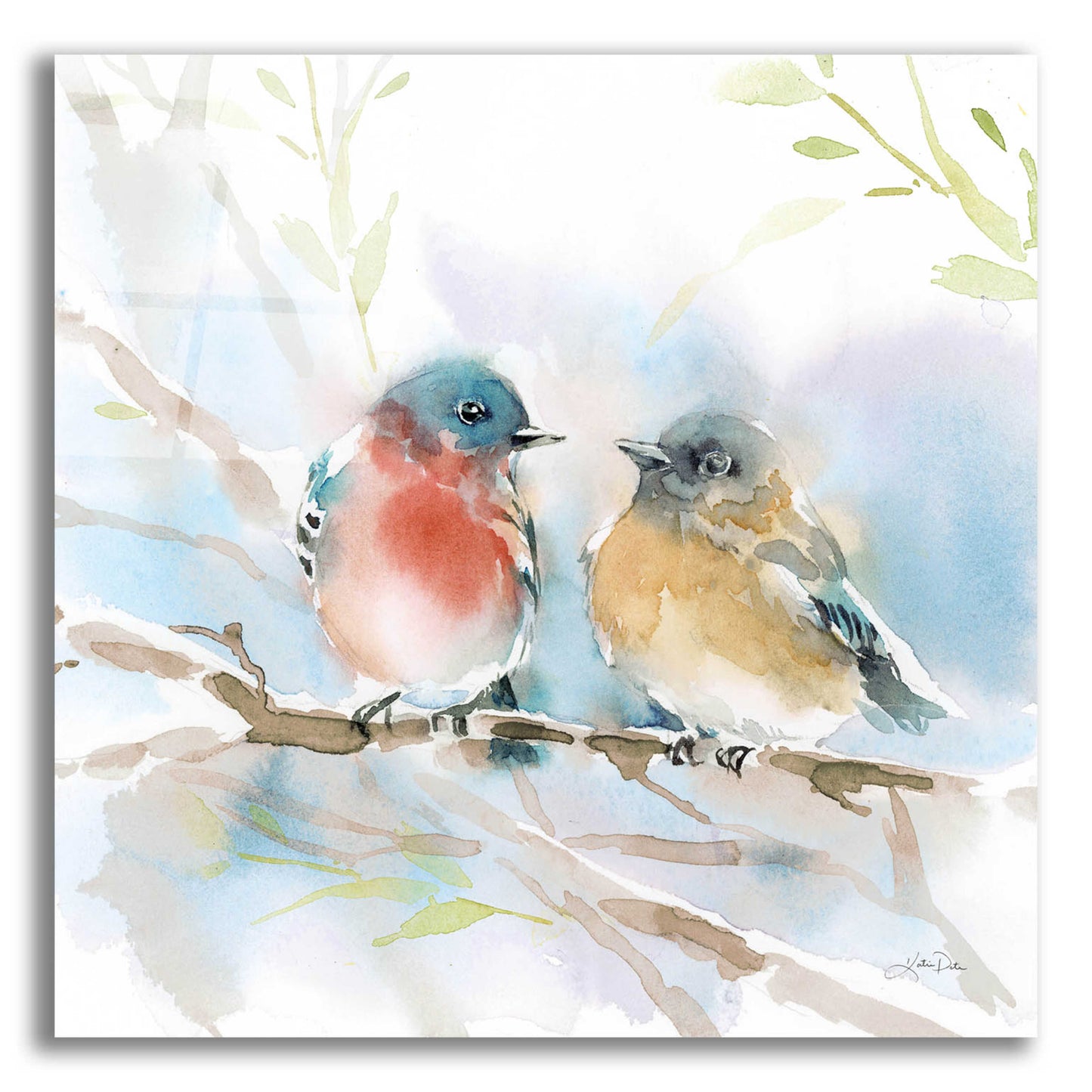 Epic Art 'Bluebird Pair in Spring' by Katrina Pete, Acrylic Glass Wall Art,12x12