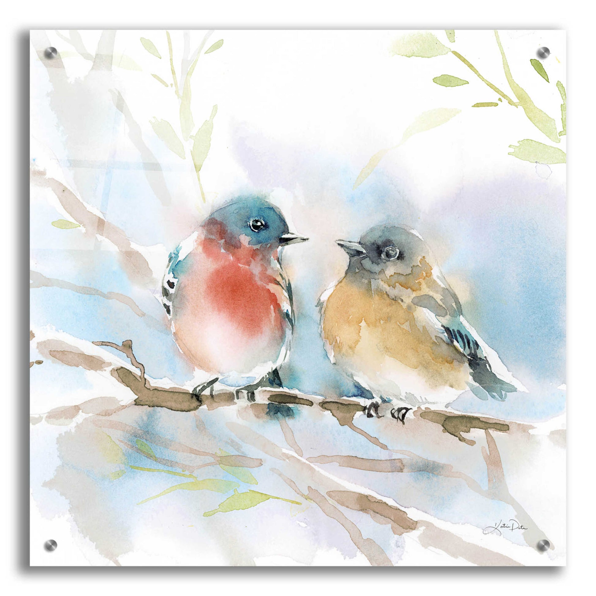 Epic Art 'Bluebird Pair in Spring' by Katrina Pete, Acrylic Glass Wall Art,24x24