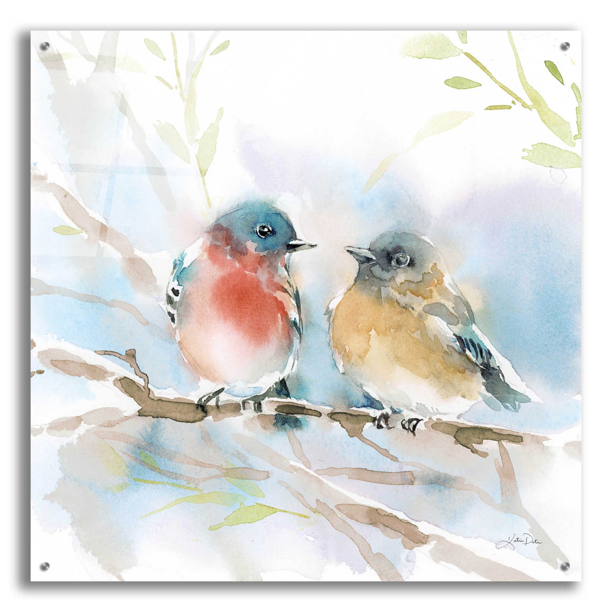 Epic Art 'Bluebird Pair in Spring' by Katrina Pete, Acrylic Glass Wall Art,36x36