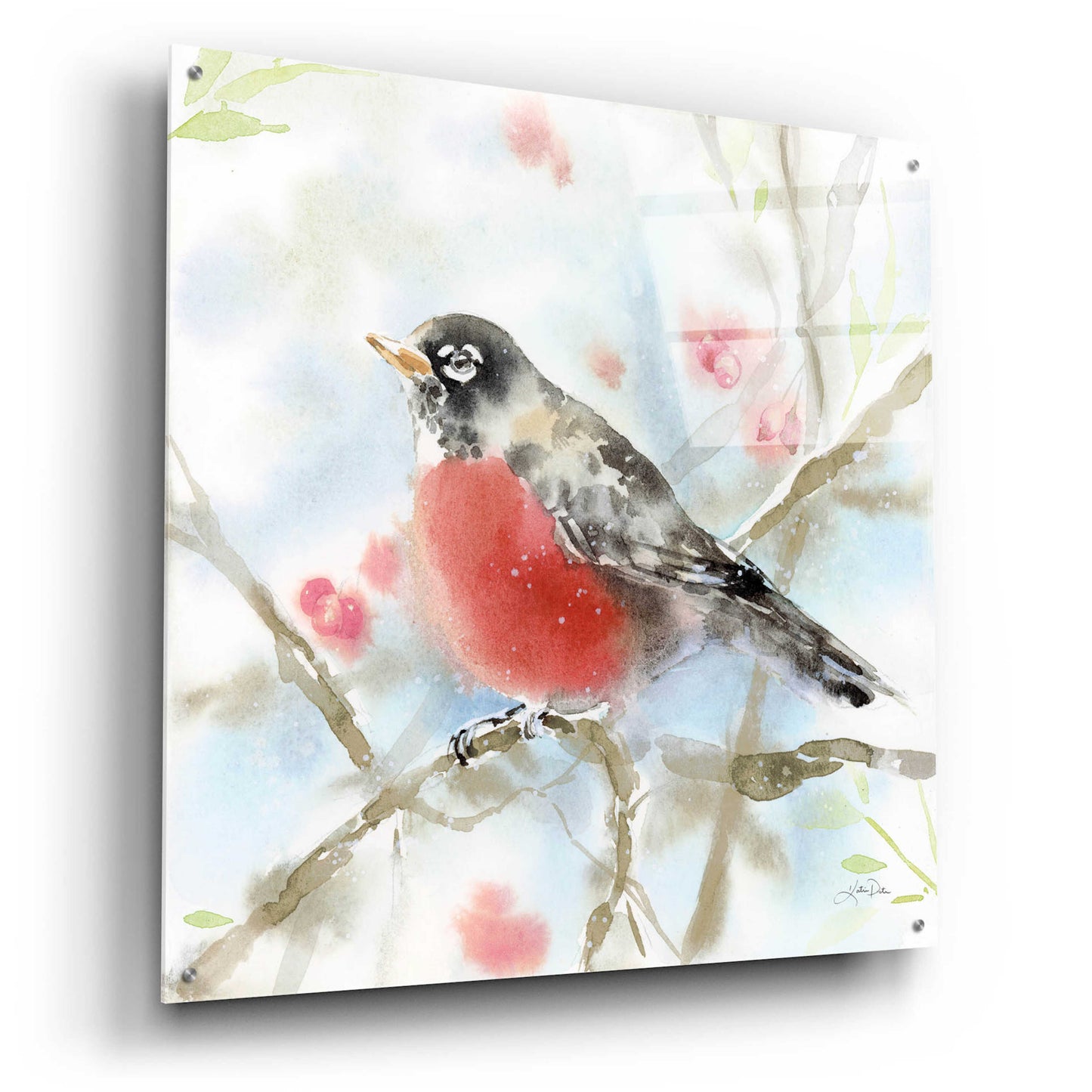 Epic Art 'Spring Robin' by Katrina Pete, Acrylic Glass Wall Art,36x36